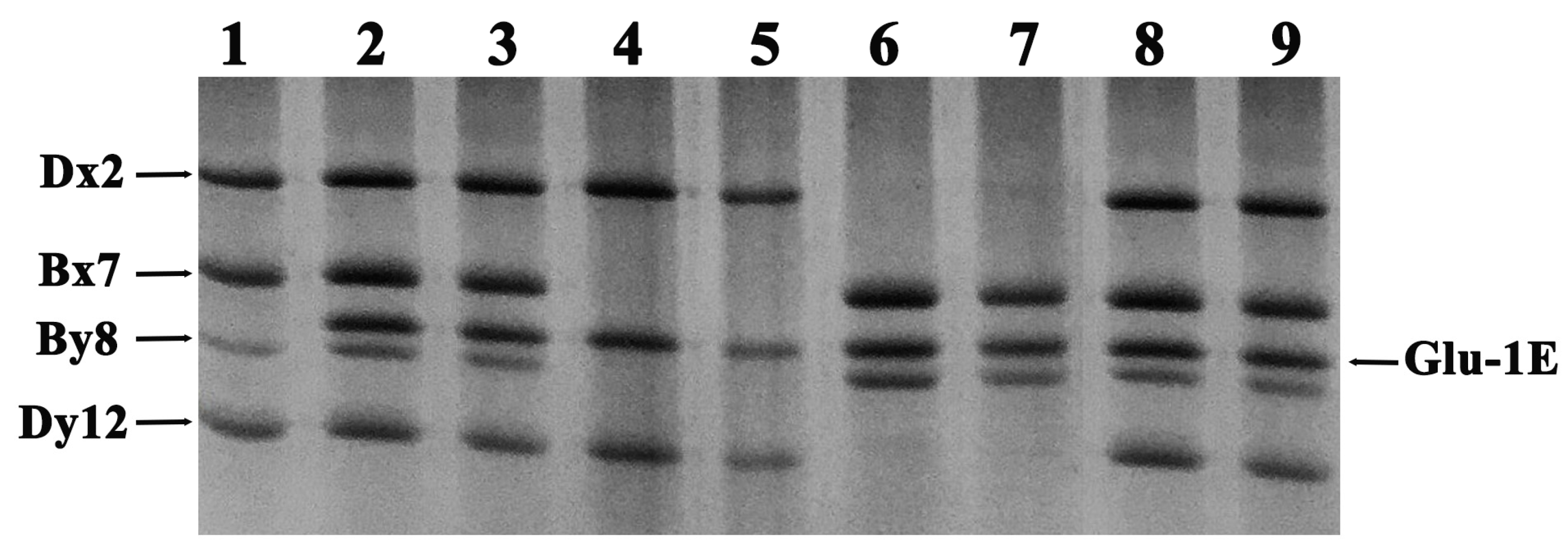 Ijms 24 11072 g001 Ijms 24 11072 g001