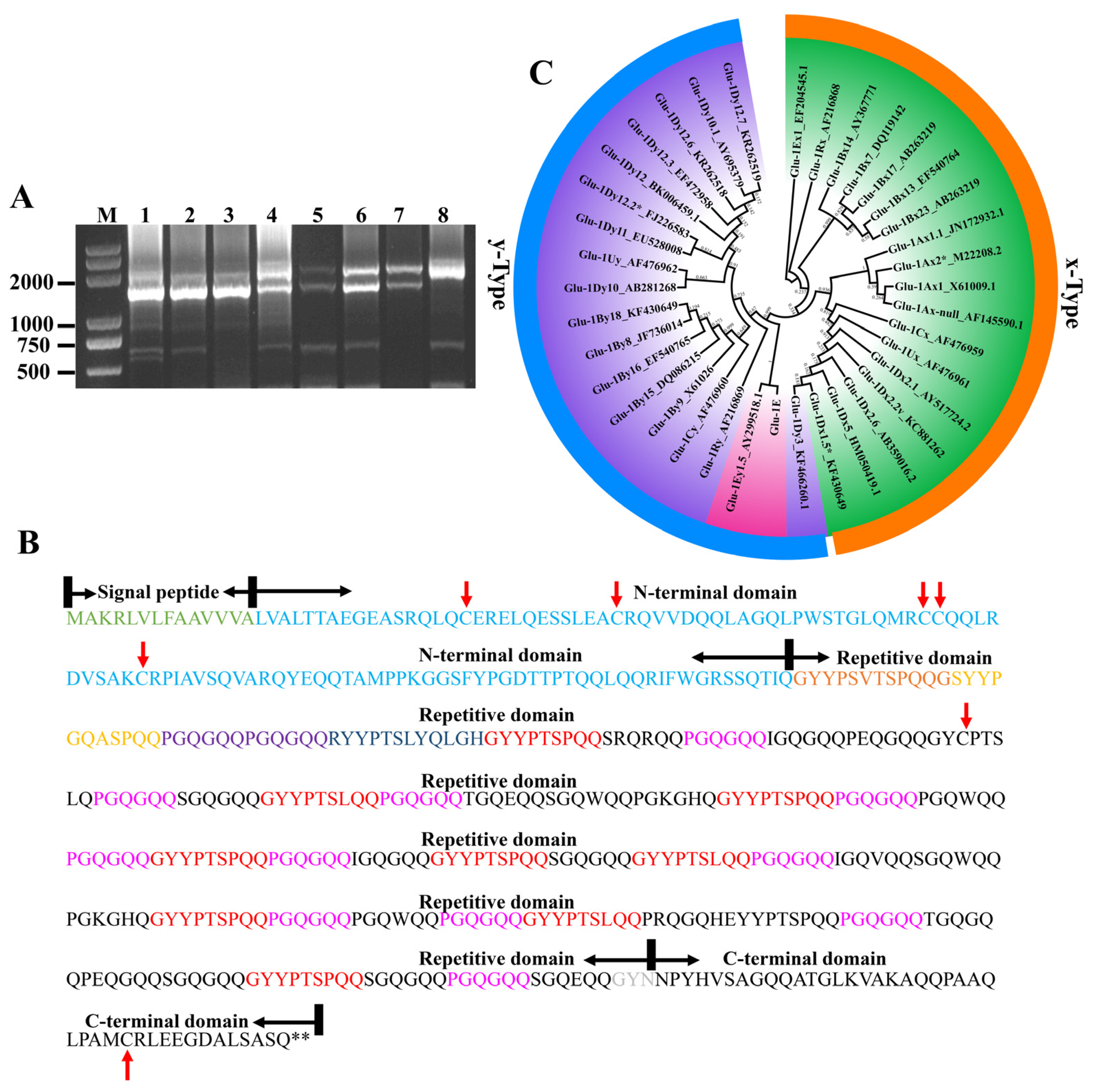 Ijms 24 11072 g002 Ijms 24 11072 g002