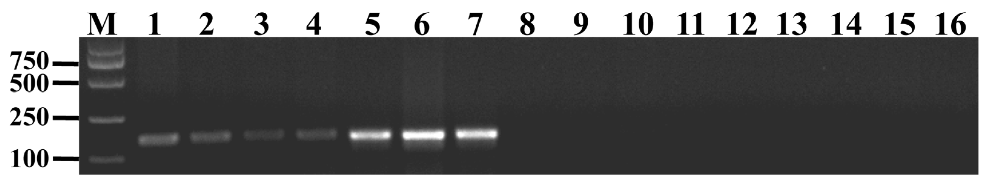 Ijms 24 11072 g003 Ijms 24 11072 g003