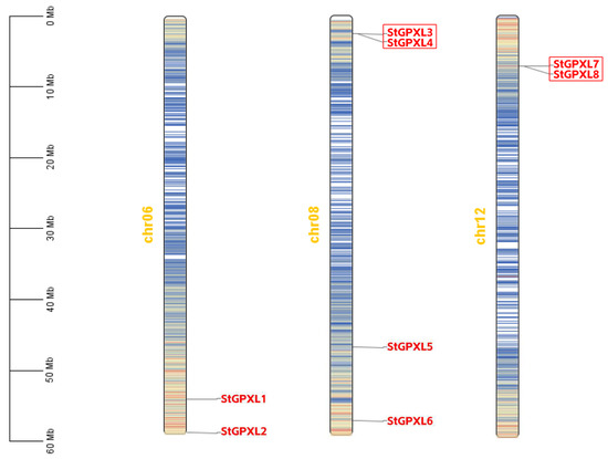 glutathione niacinamide aplb Genome-Wide Analysis and Expression Profiling of the Glutathione Peroxidase-like  Enzyme Gene Family in Solanum tuberosum