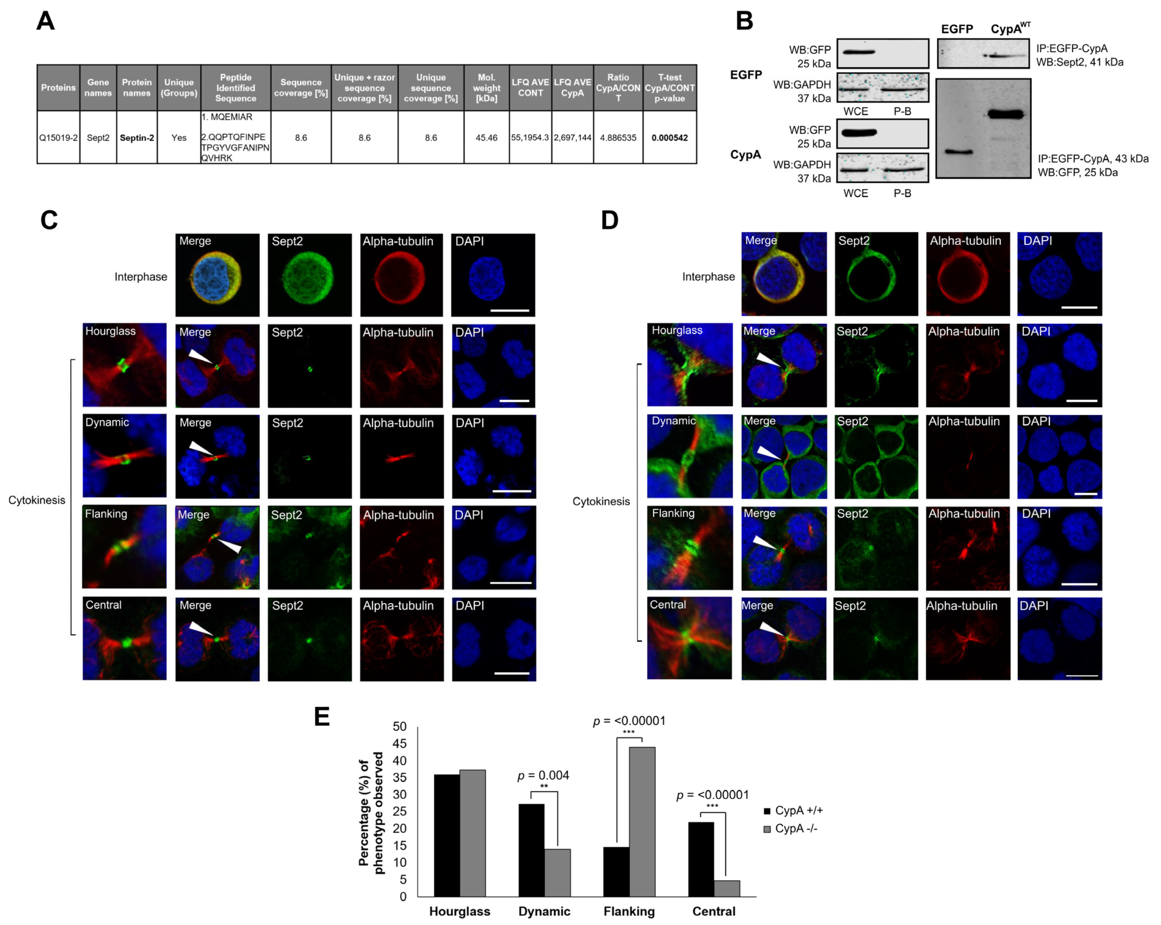 Ijms 24 11084 g001 Ijms 24 11084 g001