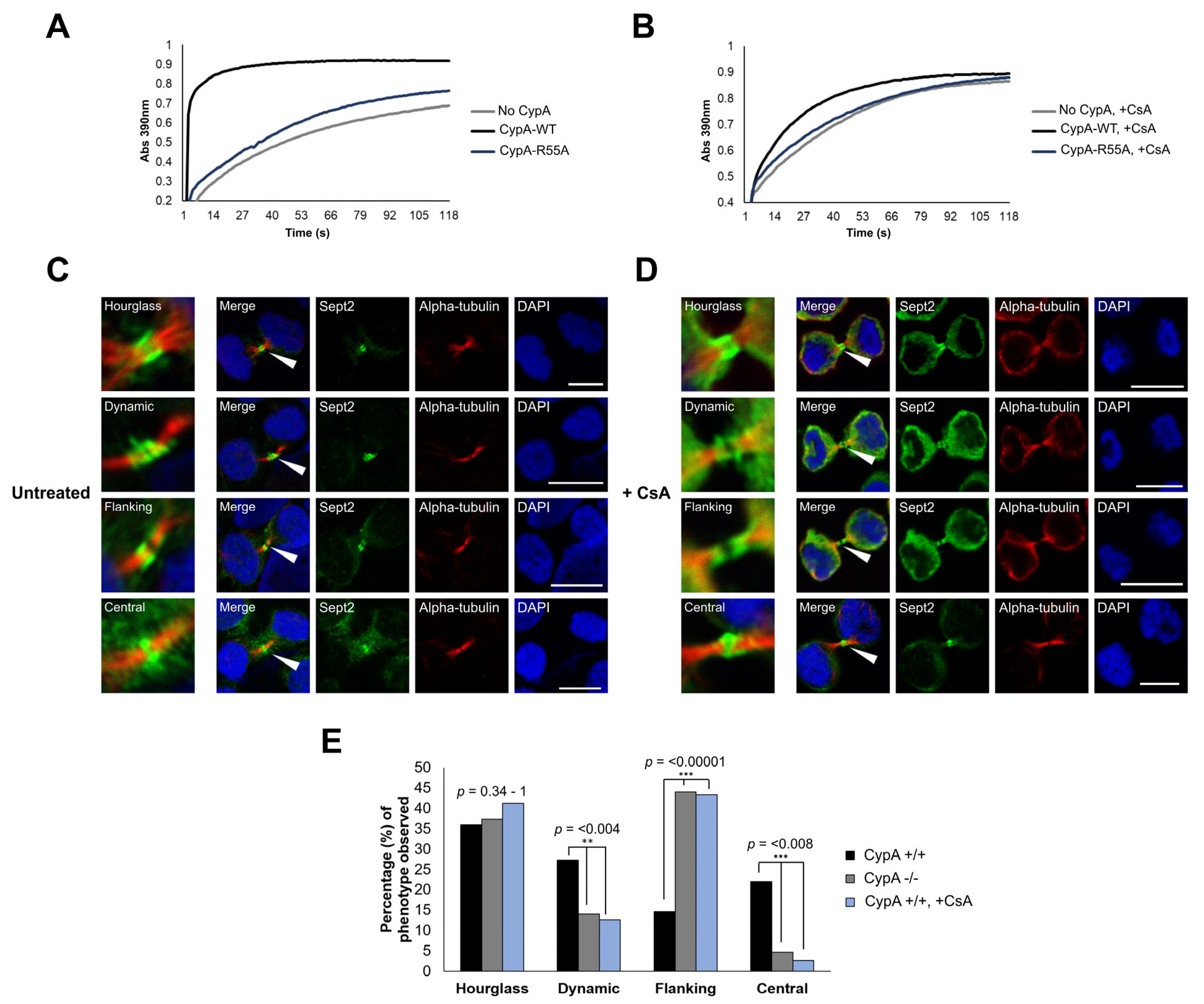 Ijms 24 11084 g002 Ijms 24 11084 g002