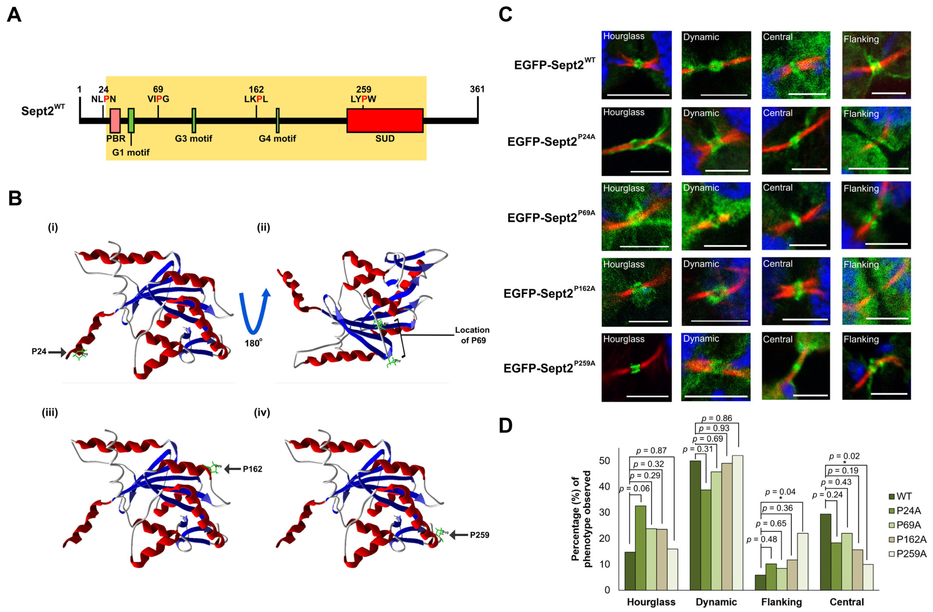 Ijms 24 11084 g003 Ijms 24 11084 g003