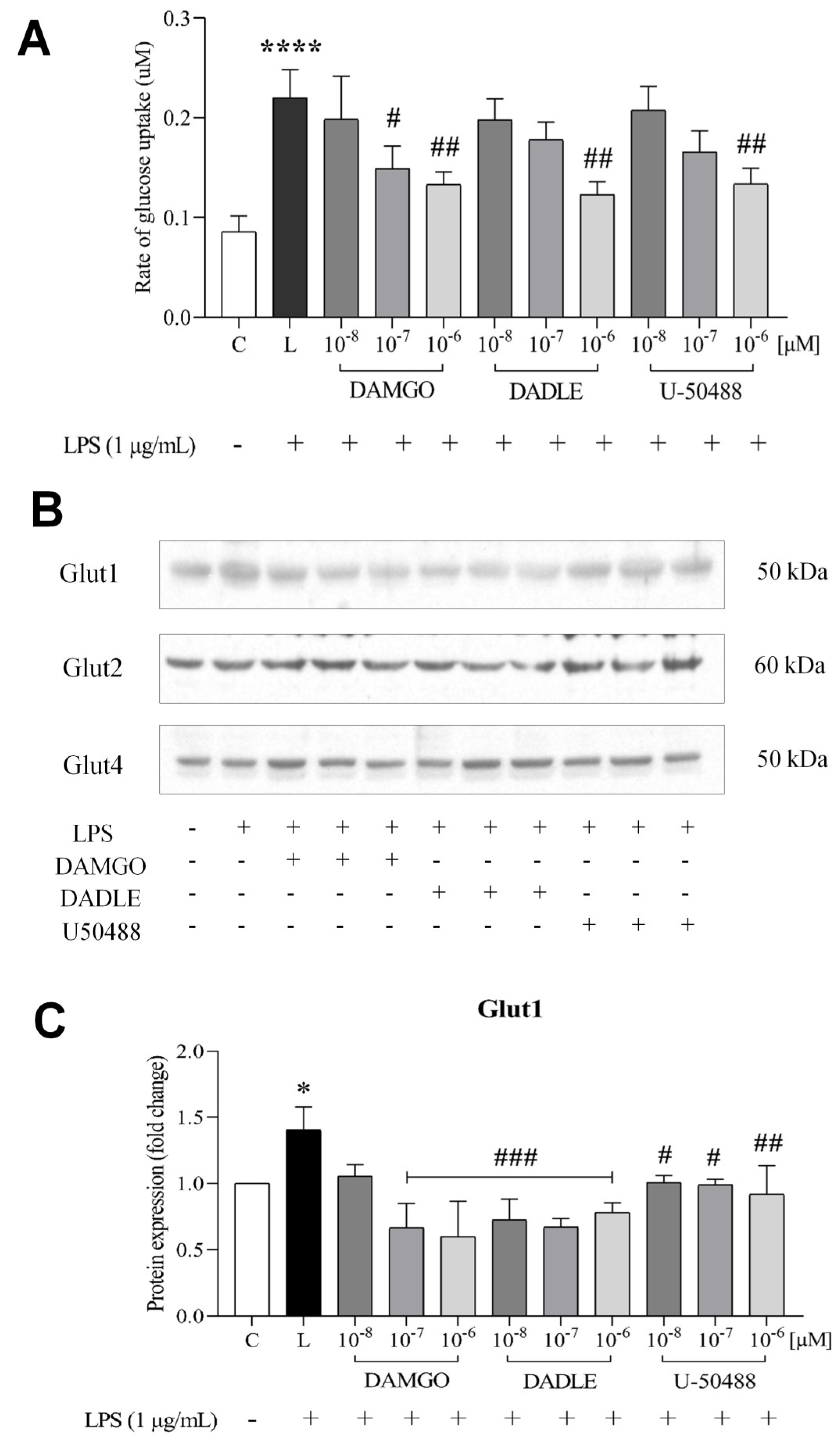 Ijms 24 11089 g002 Ijms 24 11089 g002