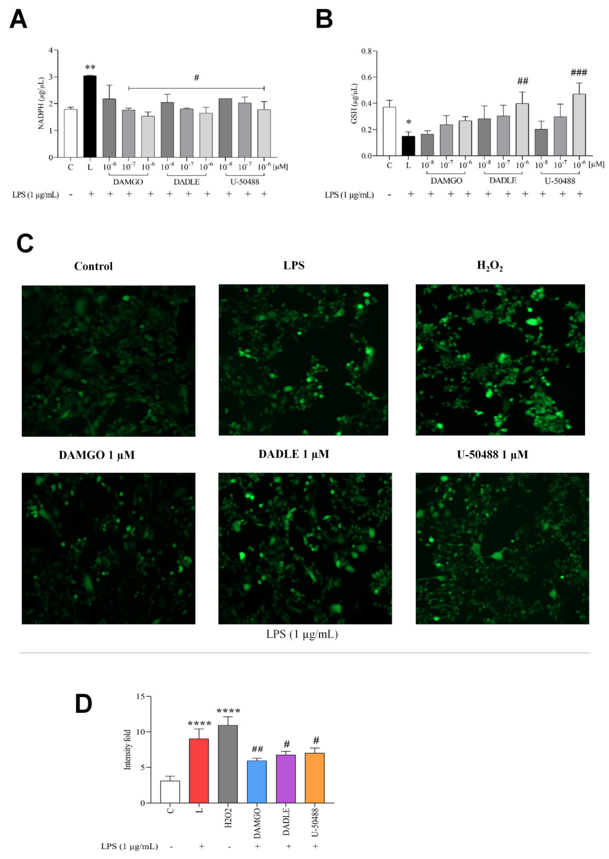 Ijms 24 11089 g004 Ijms 24 11089 g004