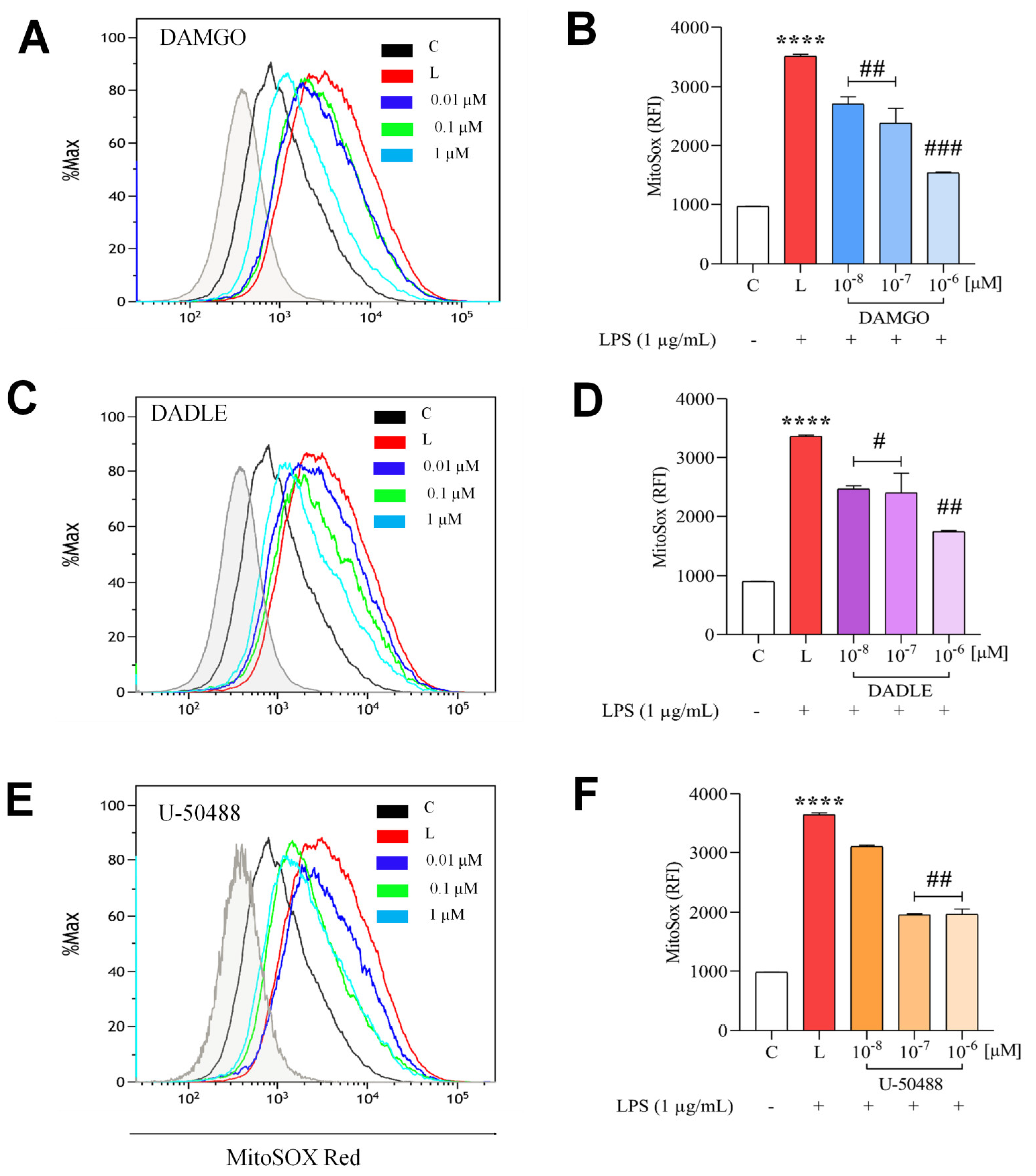 Ijms 24 11089 g005 Ijms 24 11089 g005