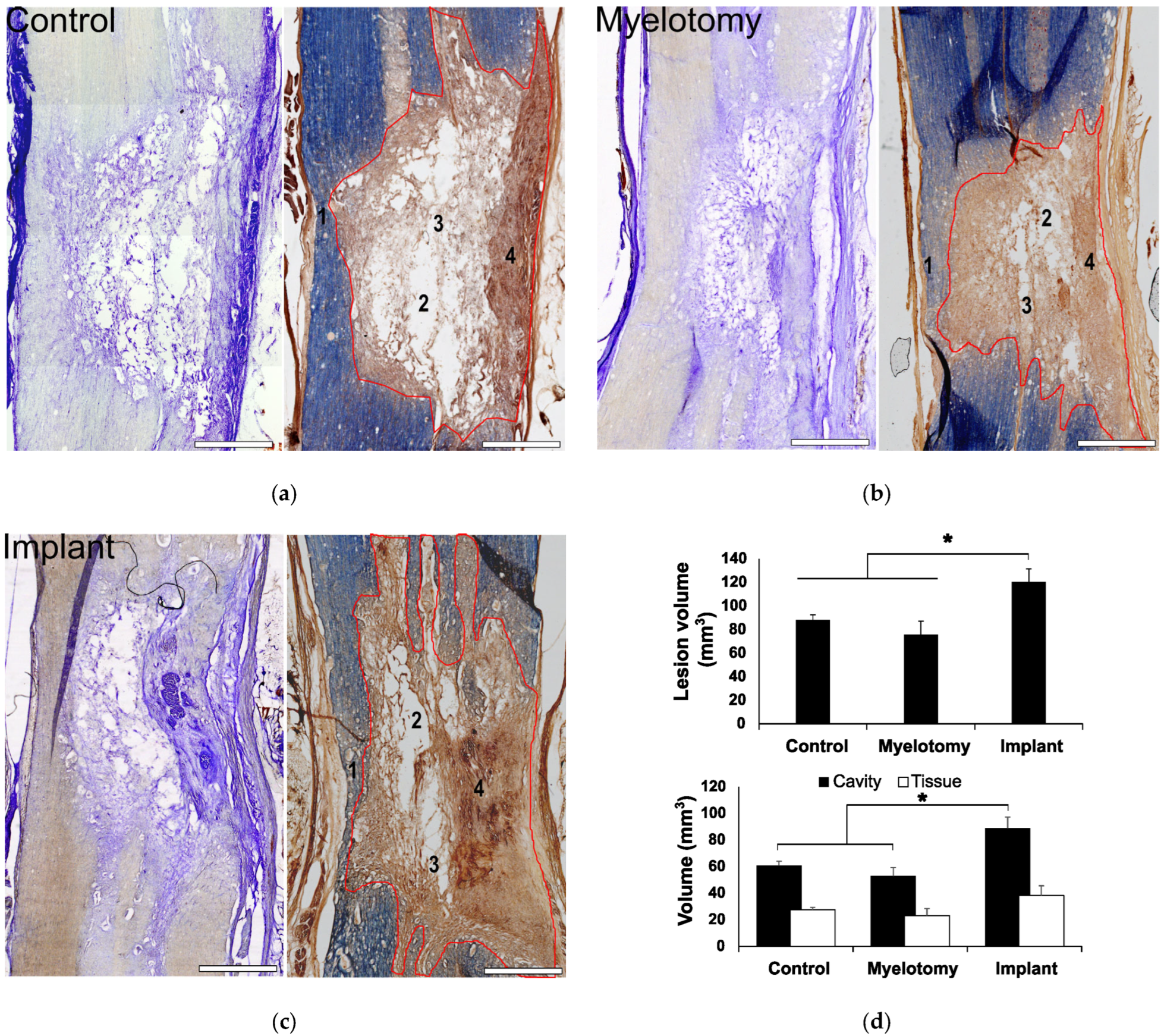 Ijms 24 11102 g002 Ijms 24 11102 g002