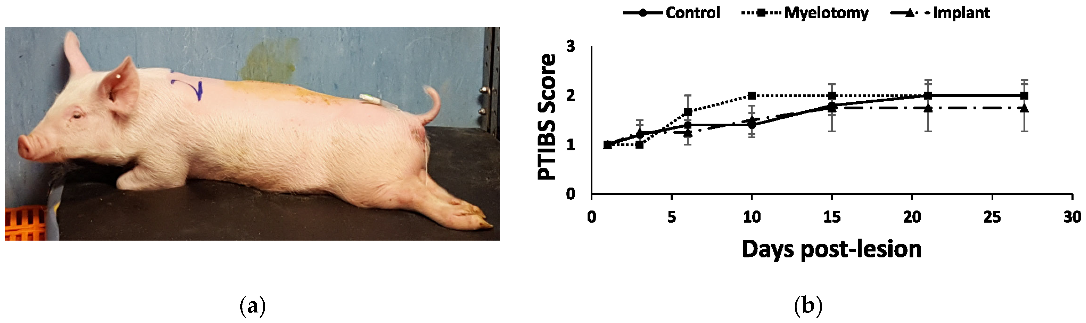 Ijms 24 11102 g005 Ijms 24 11102 g005