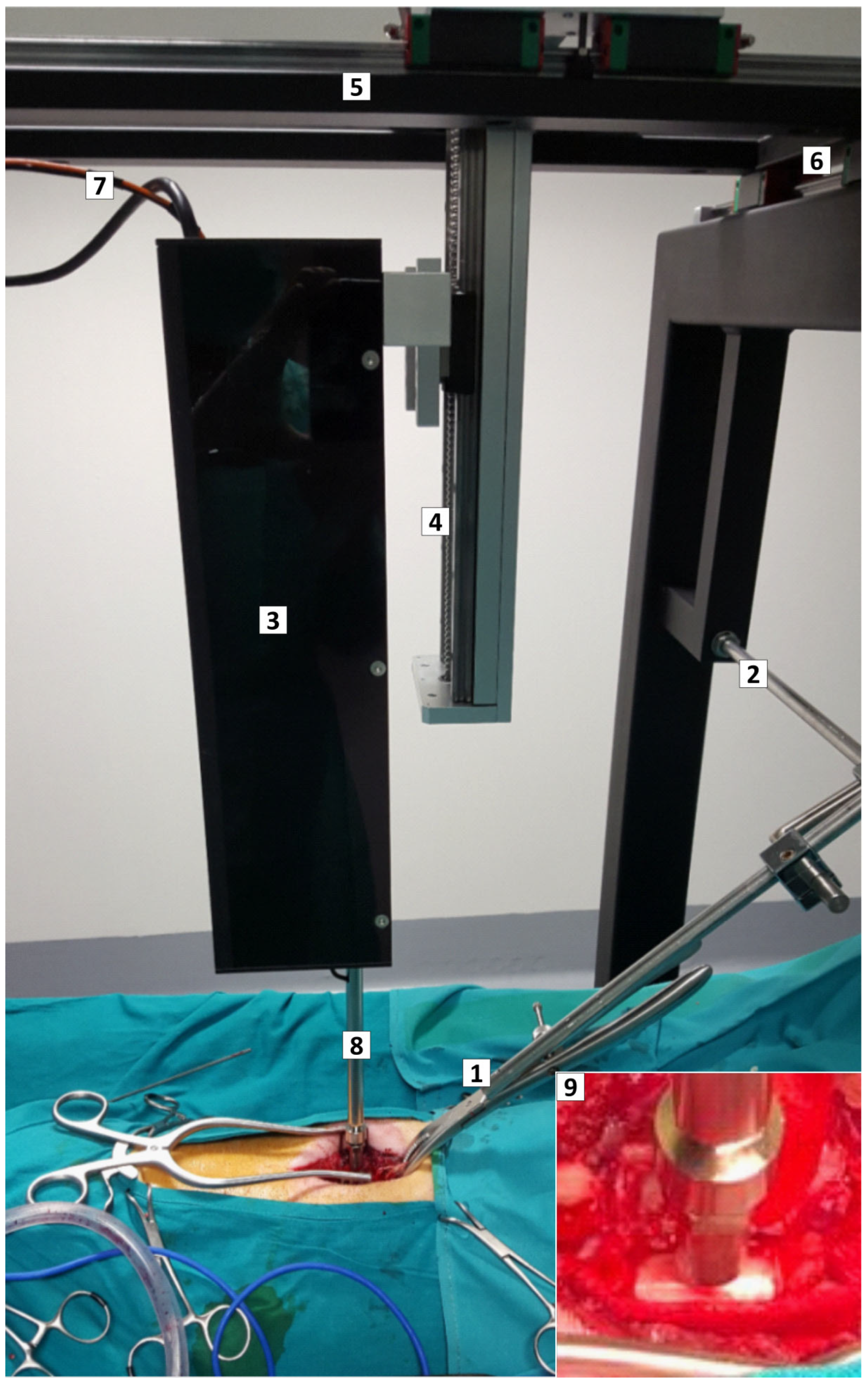 Ijms 24 11102 g006 Ijms 24 11102 g006