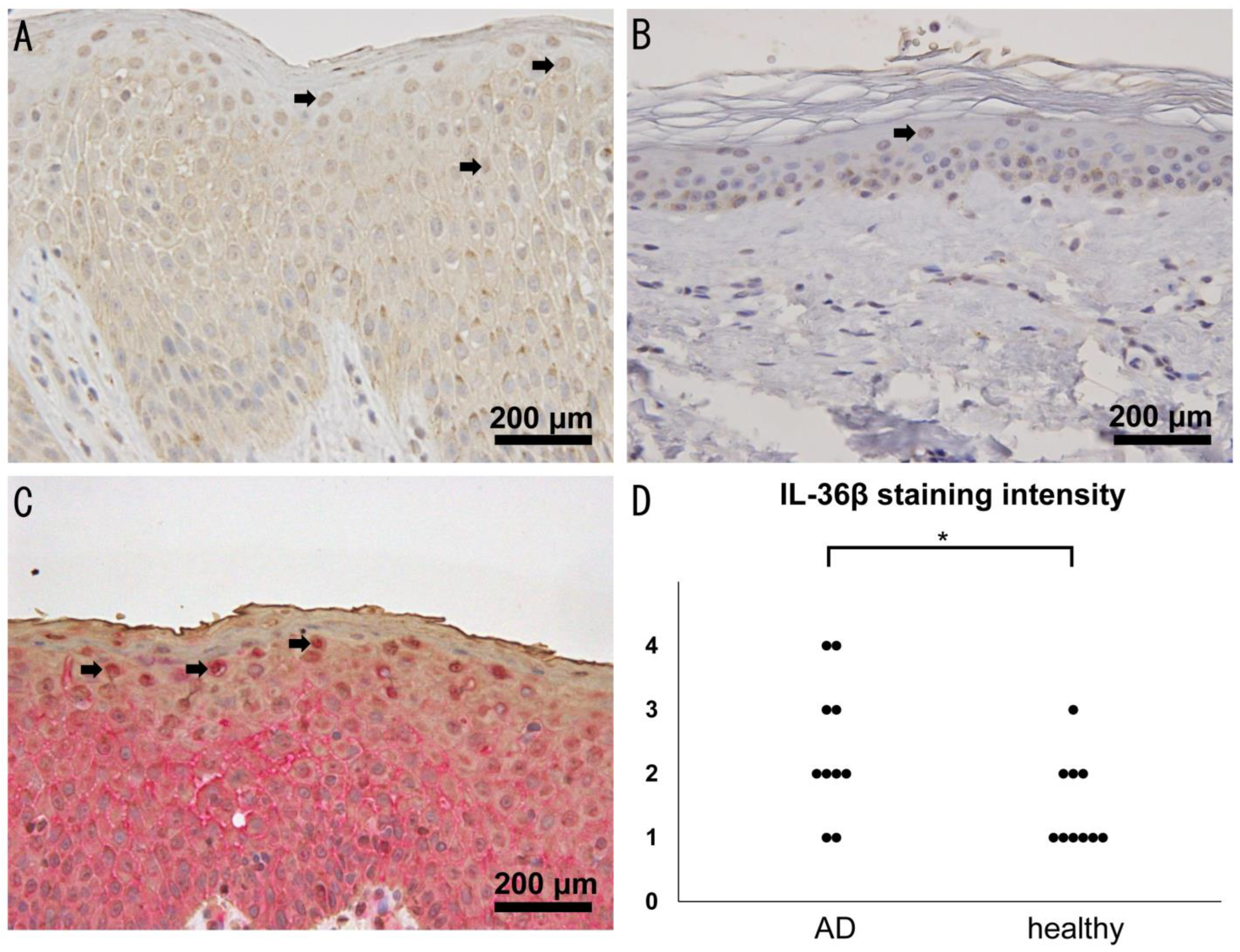 Ijms 24 11104 g001 Ijms 24 11104 g001