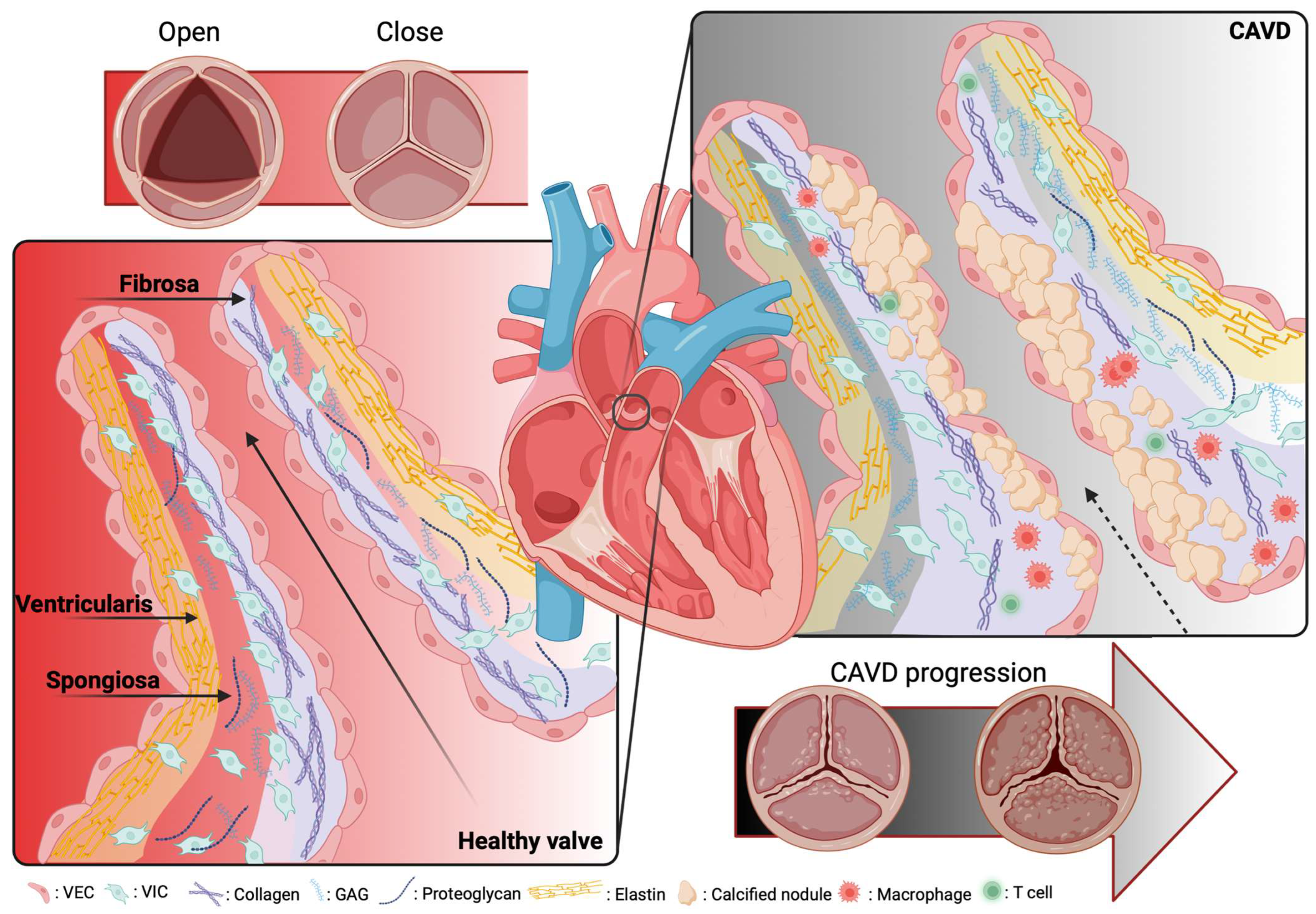 Ijms 24 11105 g001 Ijms 24 11105 g001