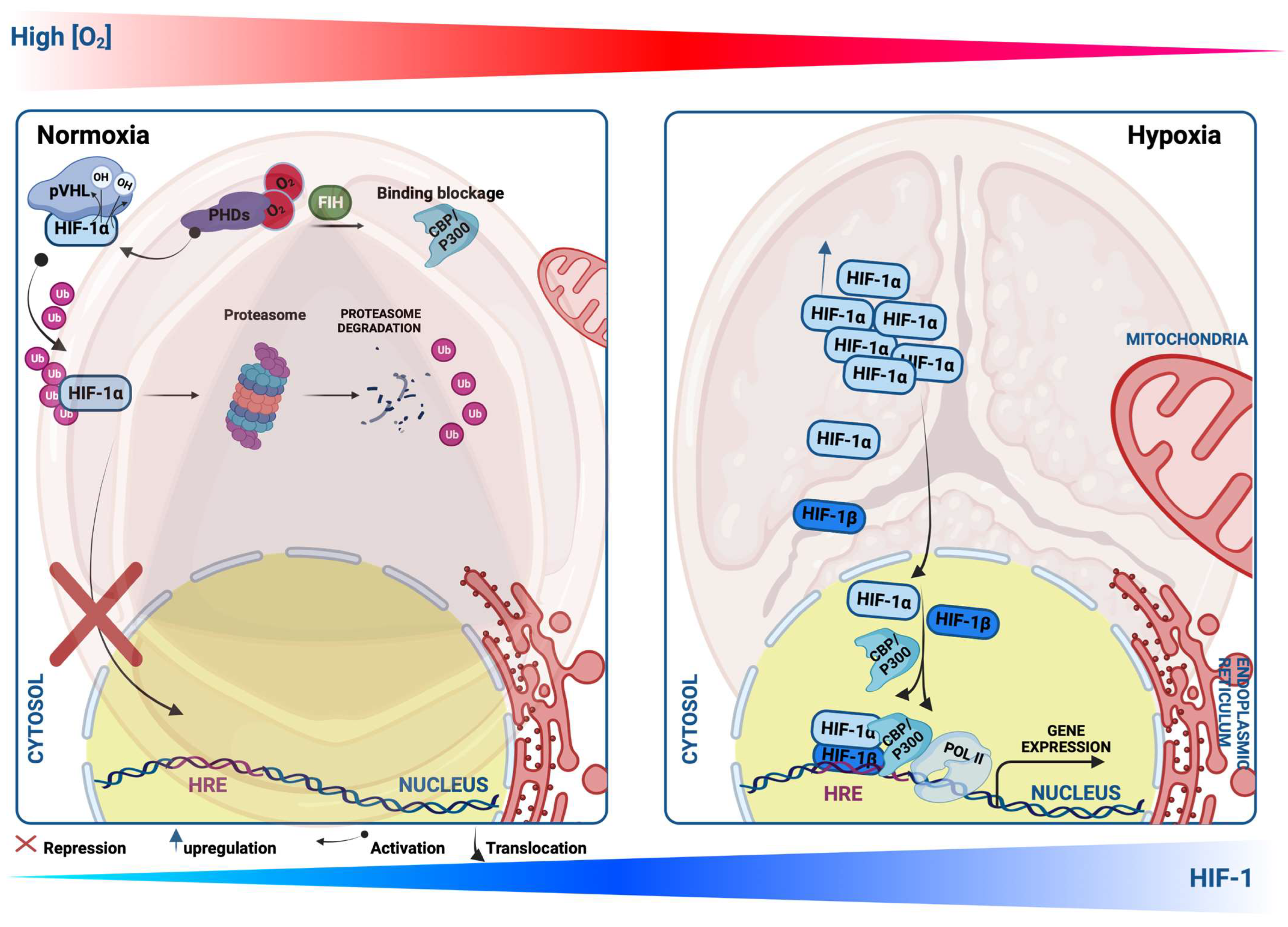 Ijms 24 11105 g002 Ijms 24 11105 g002