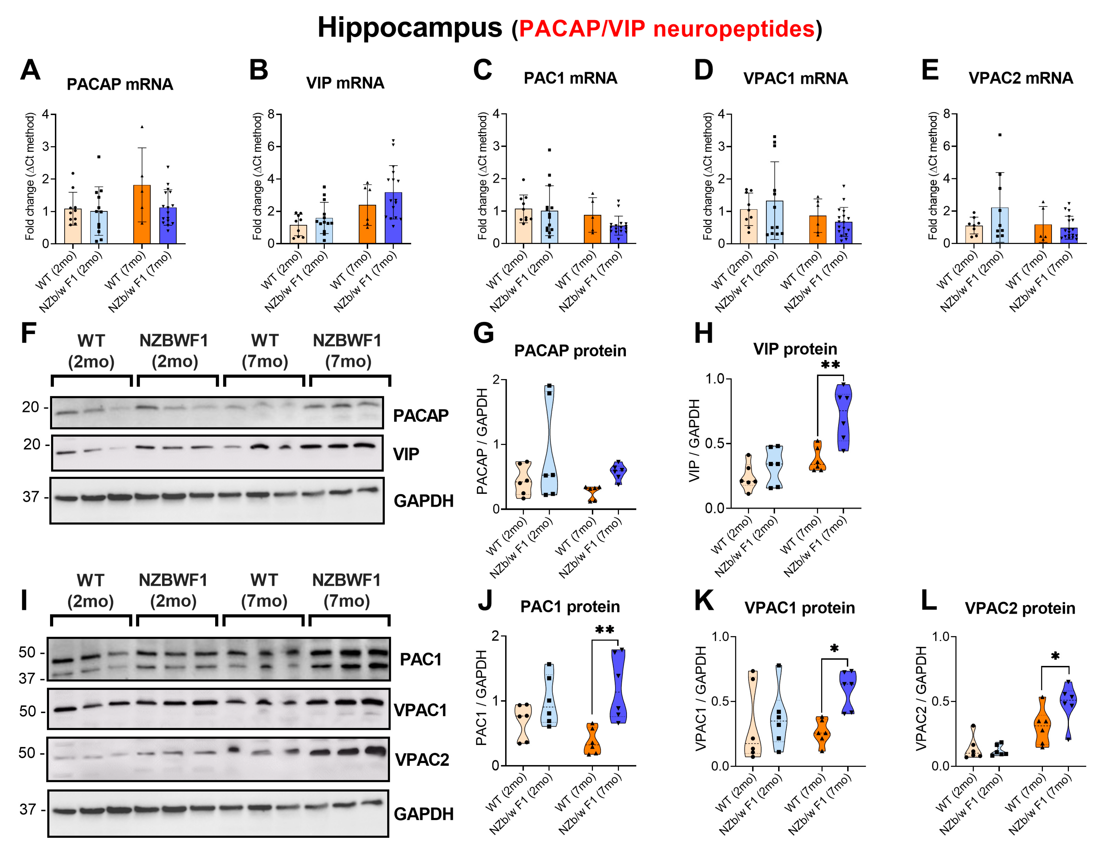 Ijms 24 11118 g002 Ijms 24 11118 g002