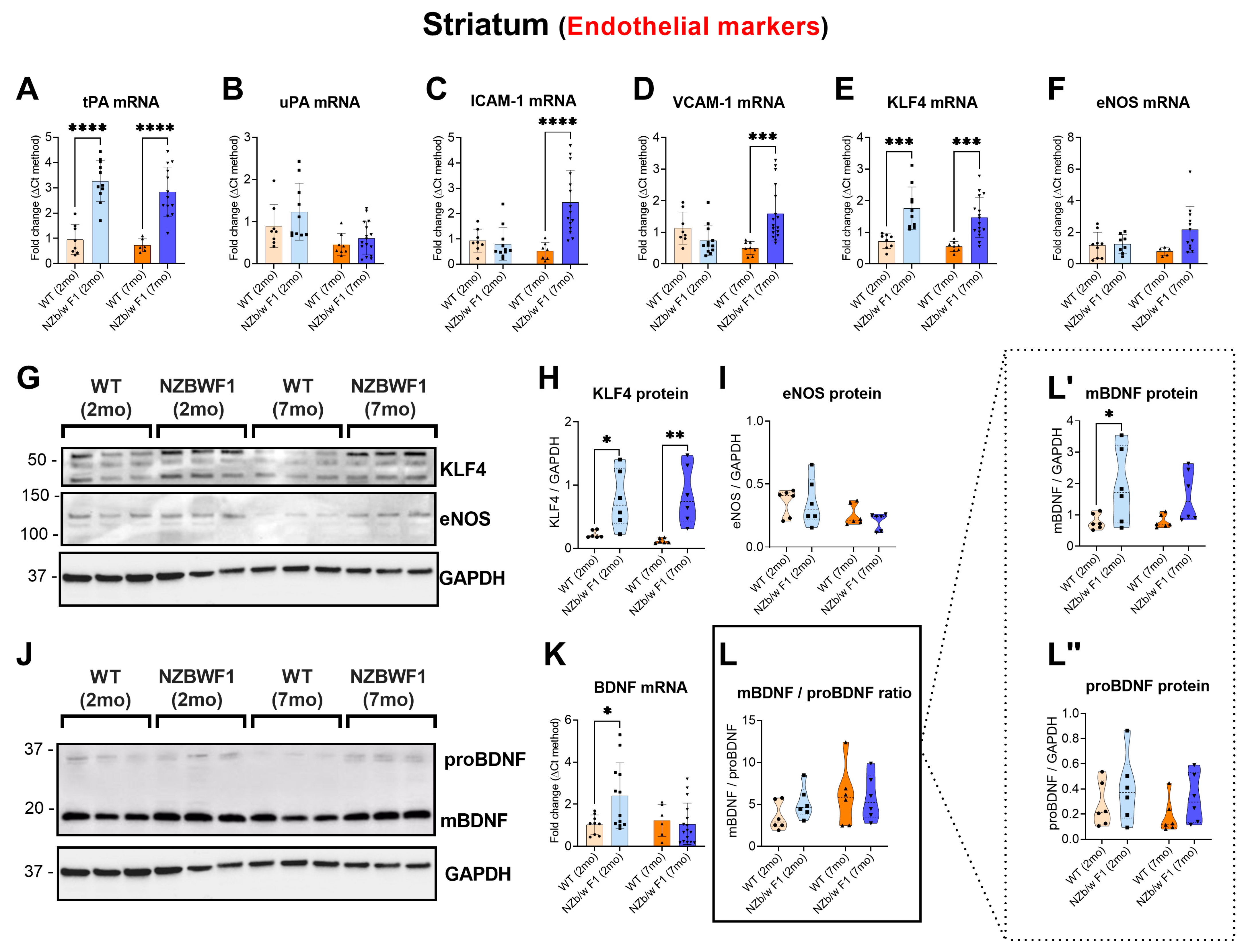 Ijms 24 11118 g003 Ijms 24 11118 g003