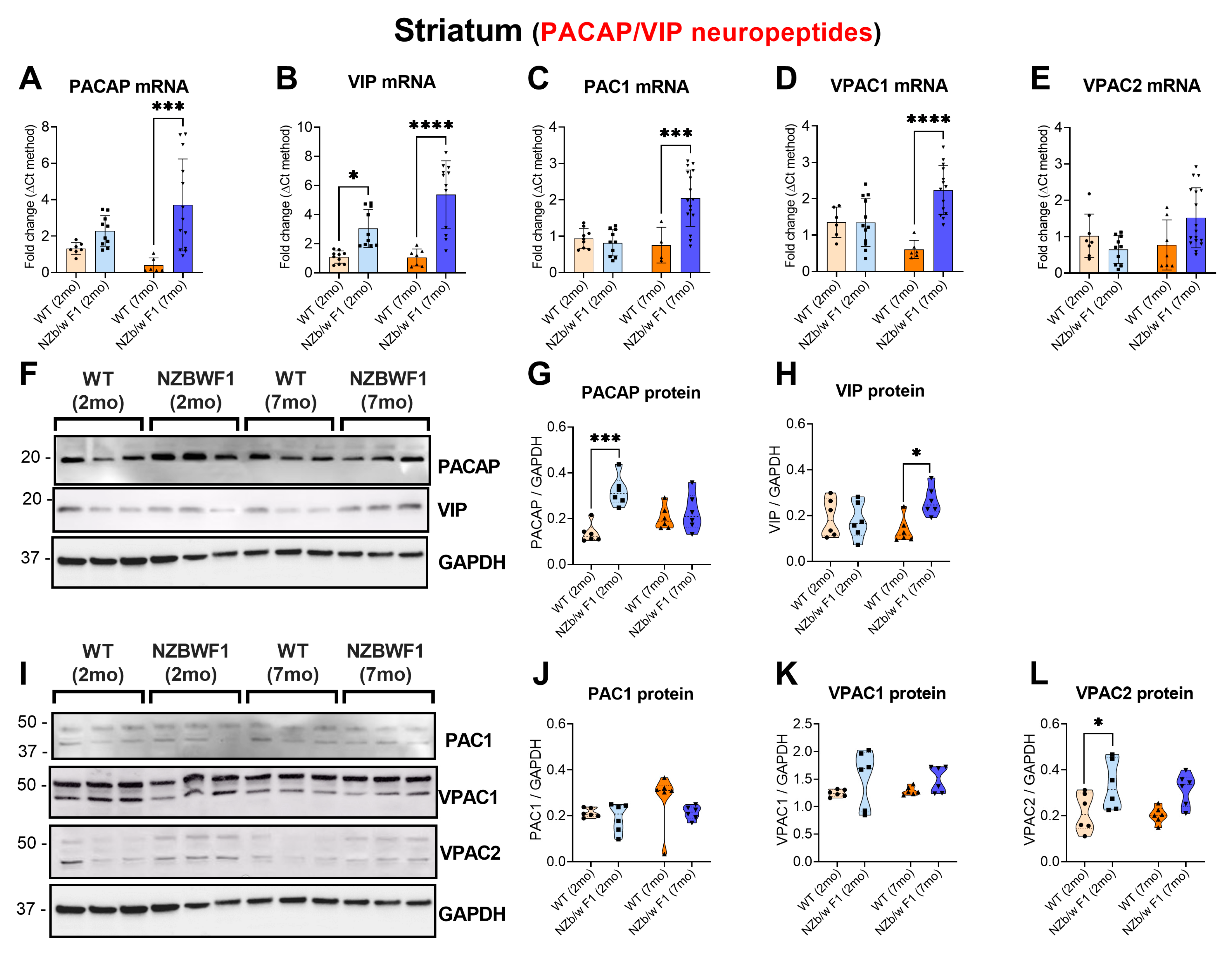 Ijms 24 11118 g004 Ijms 24 11118 g004