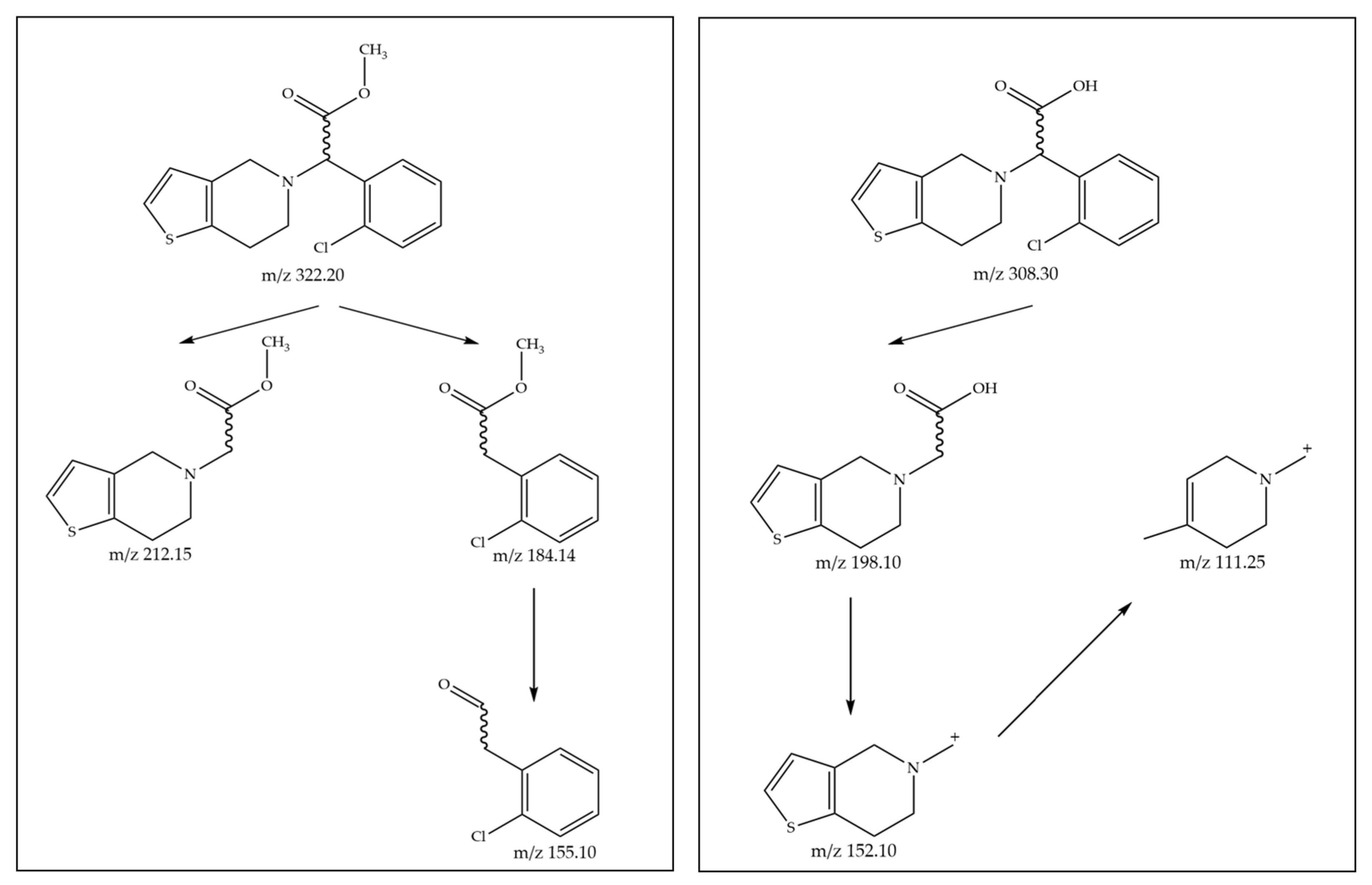Ijms 24 11124 g006 Ijms 24 11124 g006
