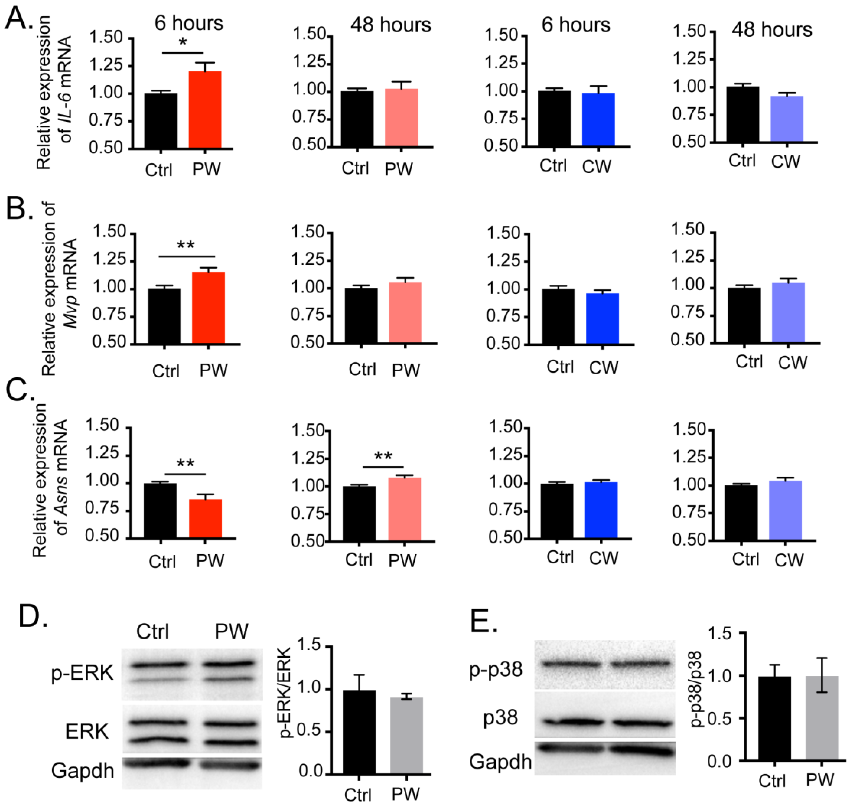 Ijms 24 11131 g004 Ijms 24 11131 g004