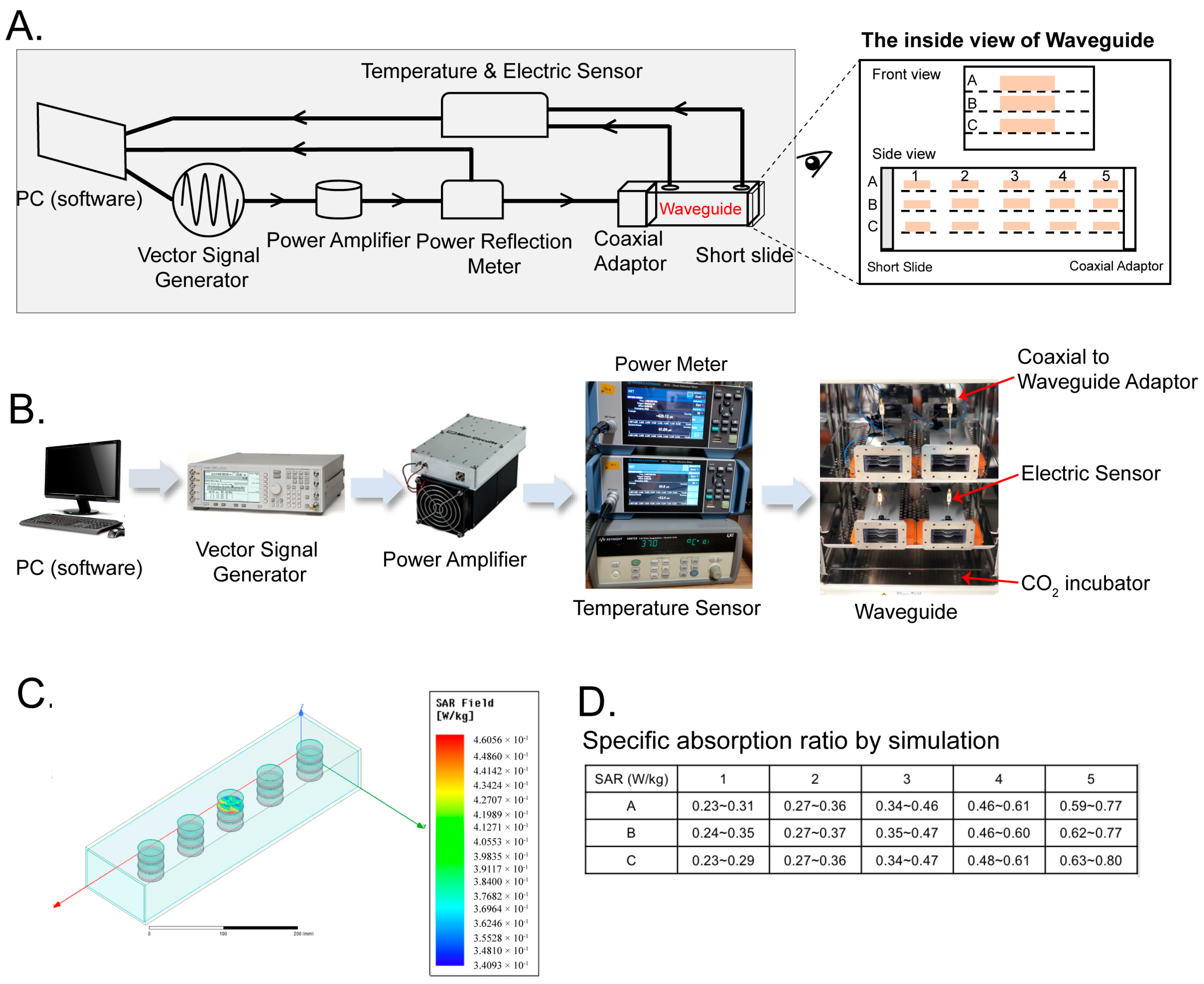 Ijms 24 11131 g005 Ijms 24 11131 g005