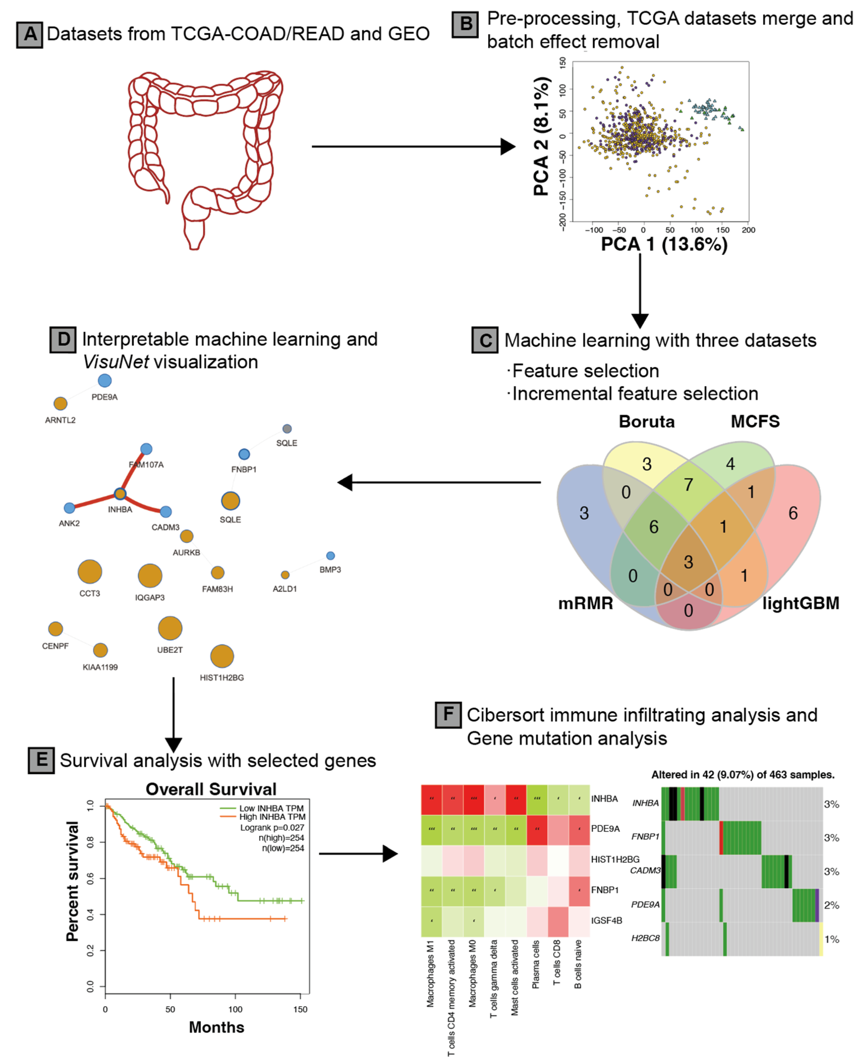 Ijms 24 11133 g002 Ijms 24 11133 g002