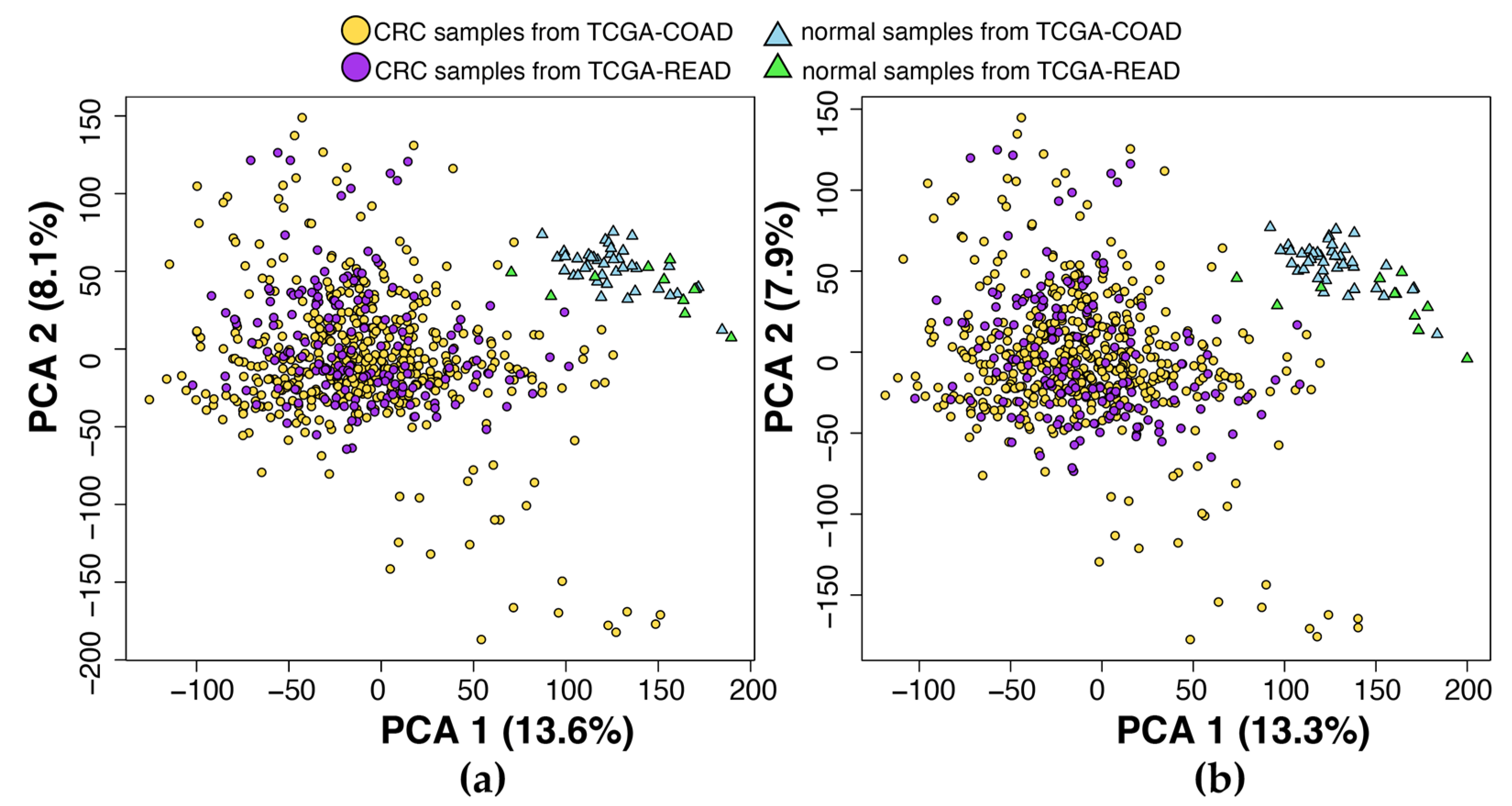 Ijms 24 11133 g003 Ijms 24 11133 g003