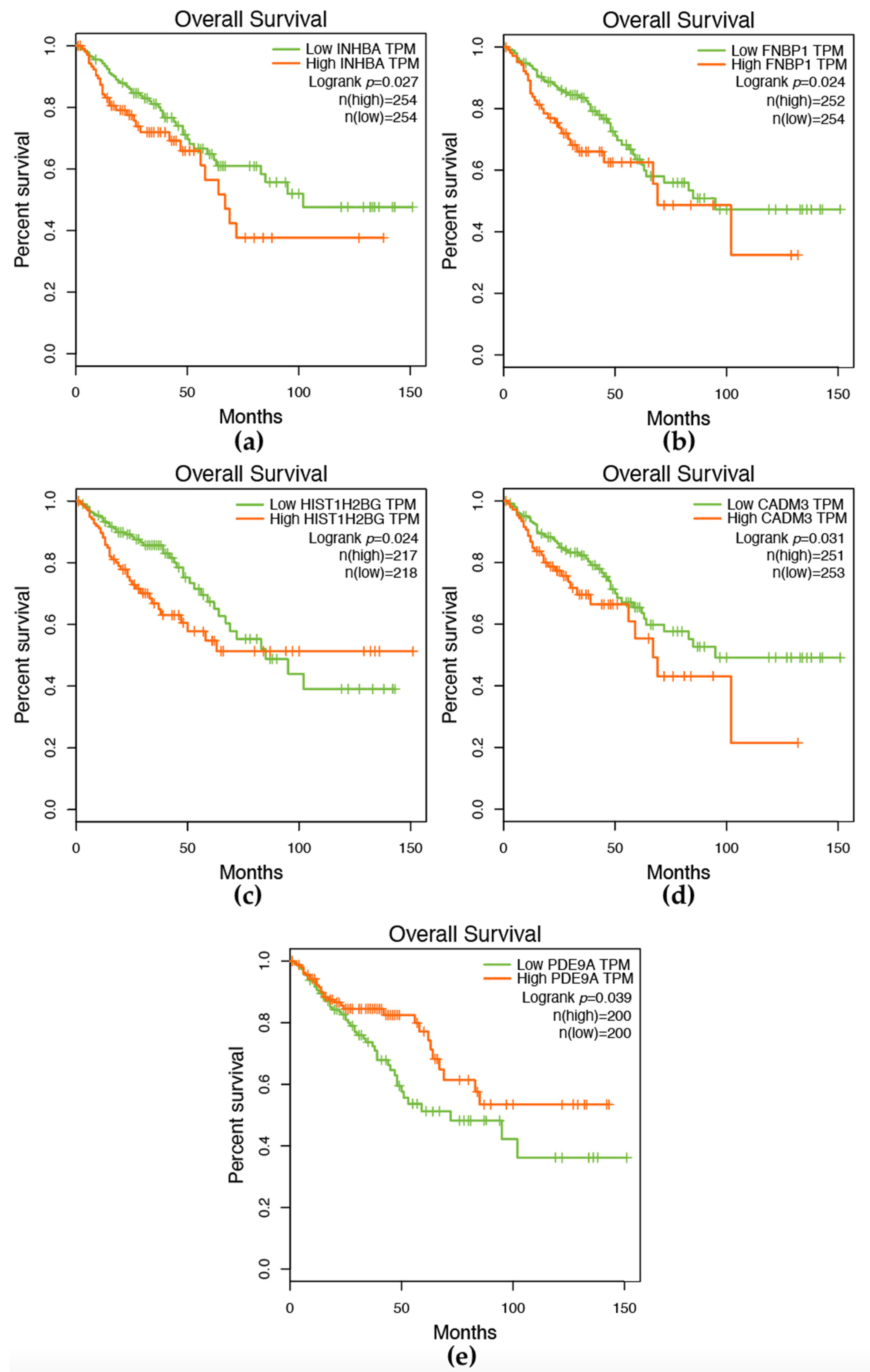 Ijms 24 11133 g008 Ijms 24 11133 g008