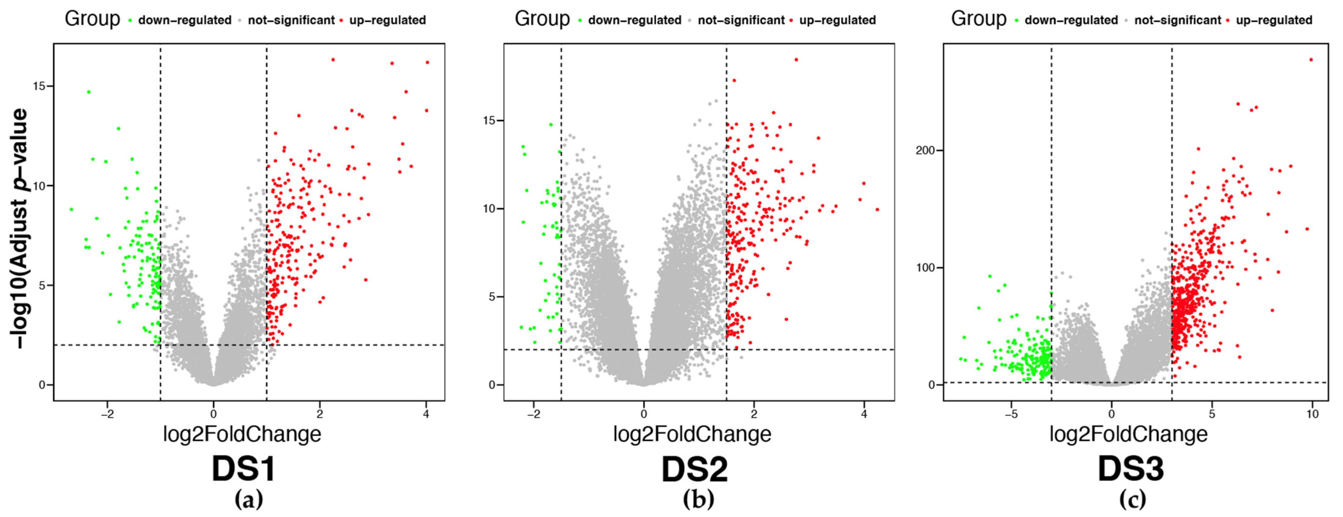 Ijms 24 11133 g009 Ijms 24 11133 g009