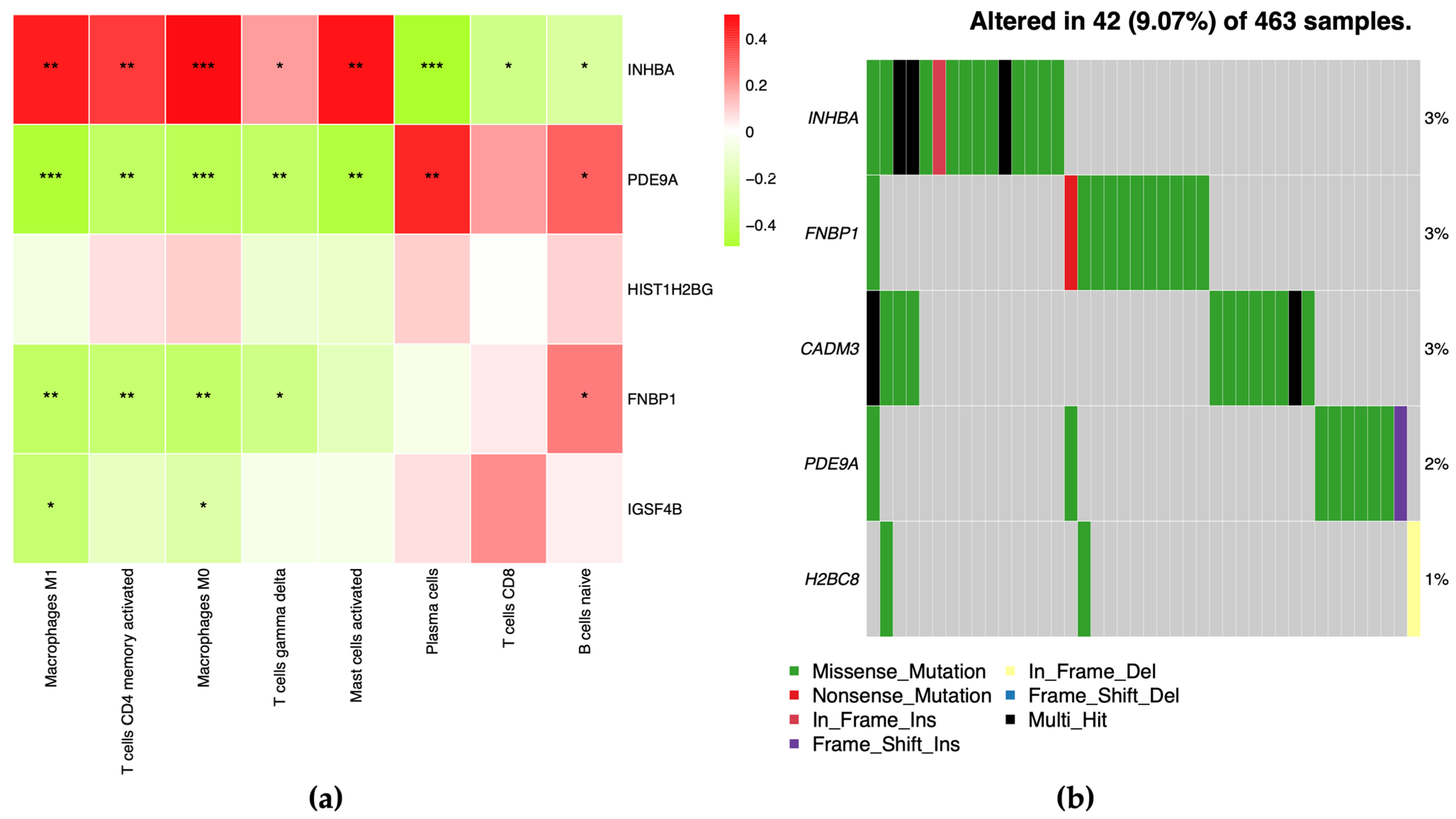 Ijms 24 11133 g011 Ijms 24 11133 g011