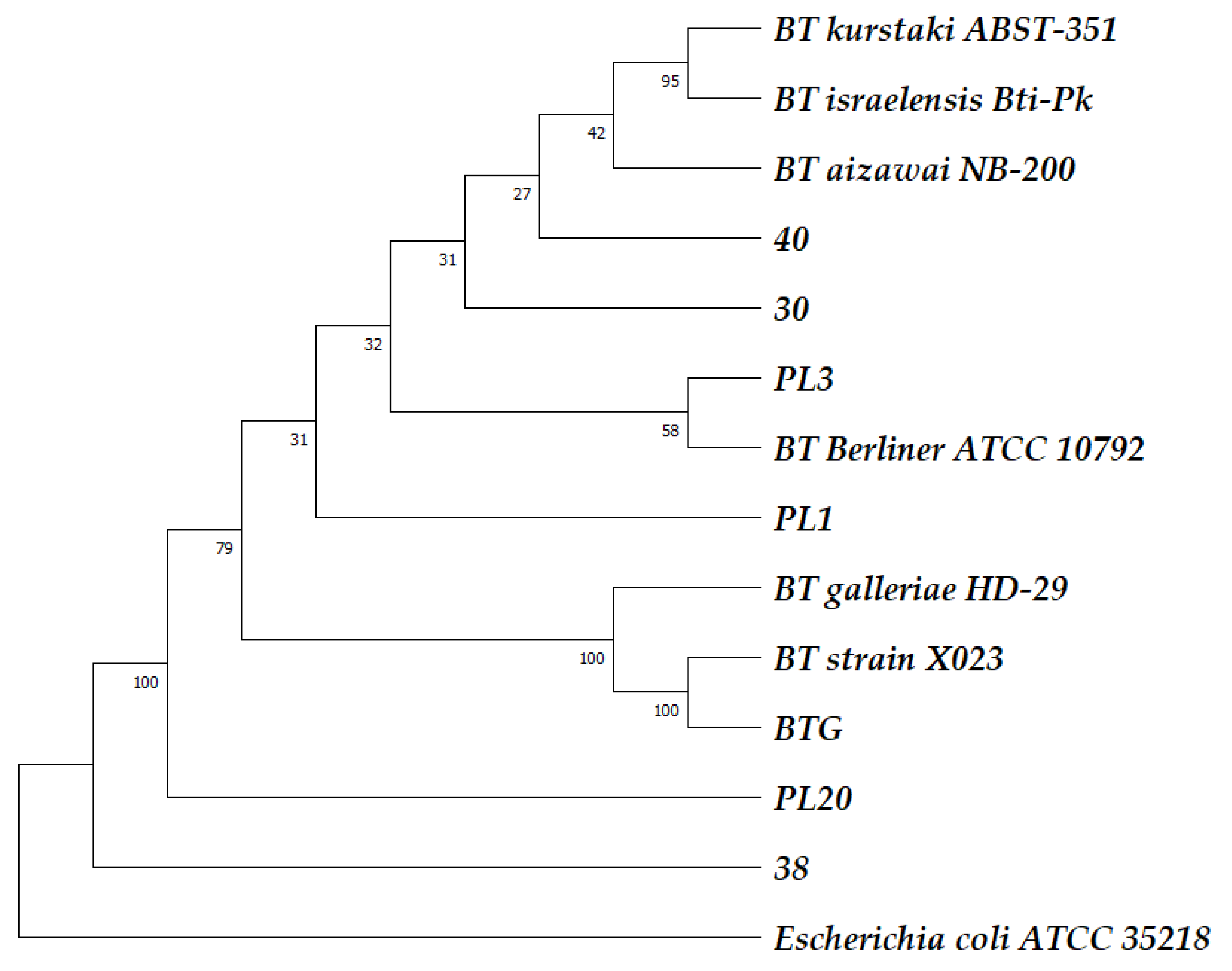 Ijms 24 11137 g001 Ijms 24 11137 g001