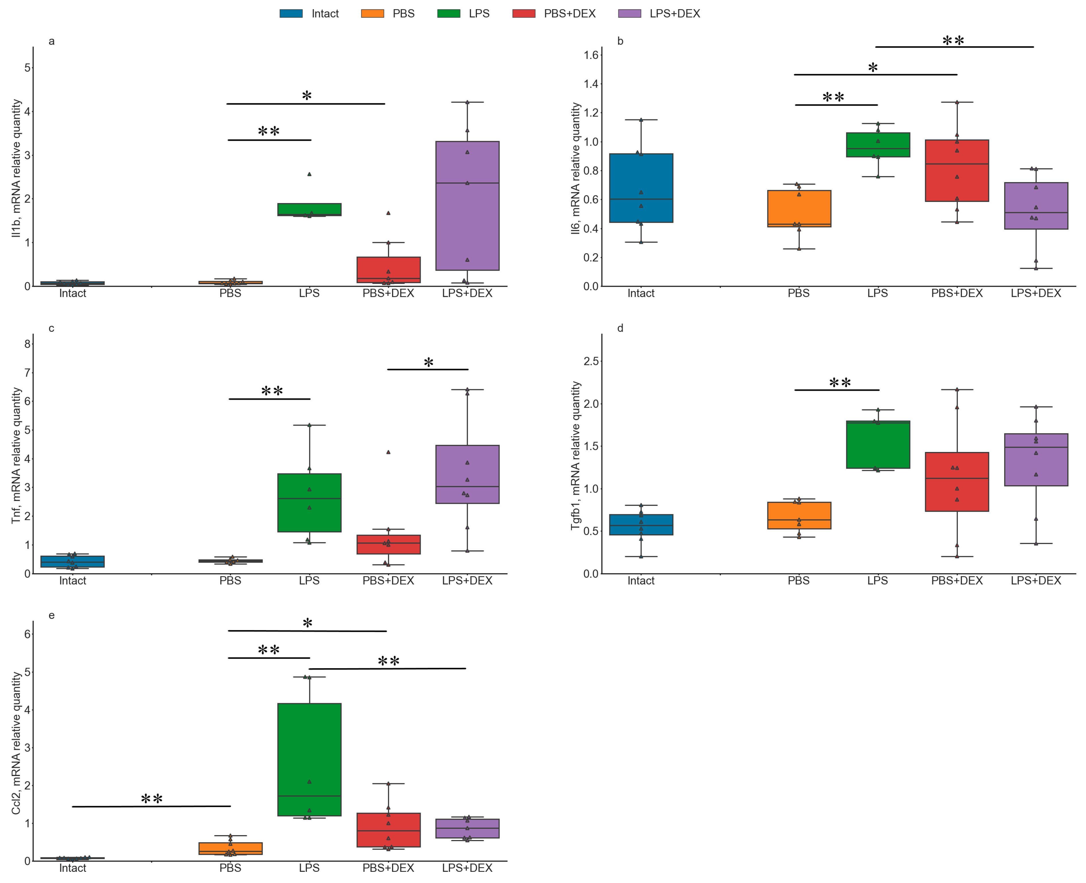Ijms 24 11147 g001 Ijms 24 11147 g001