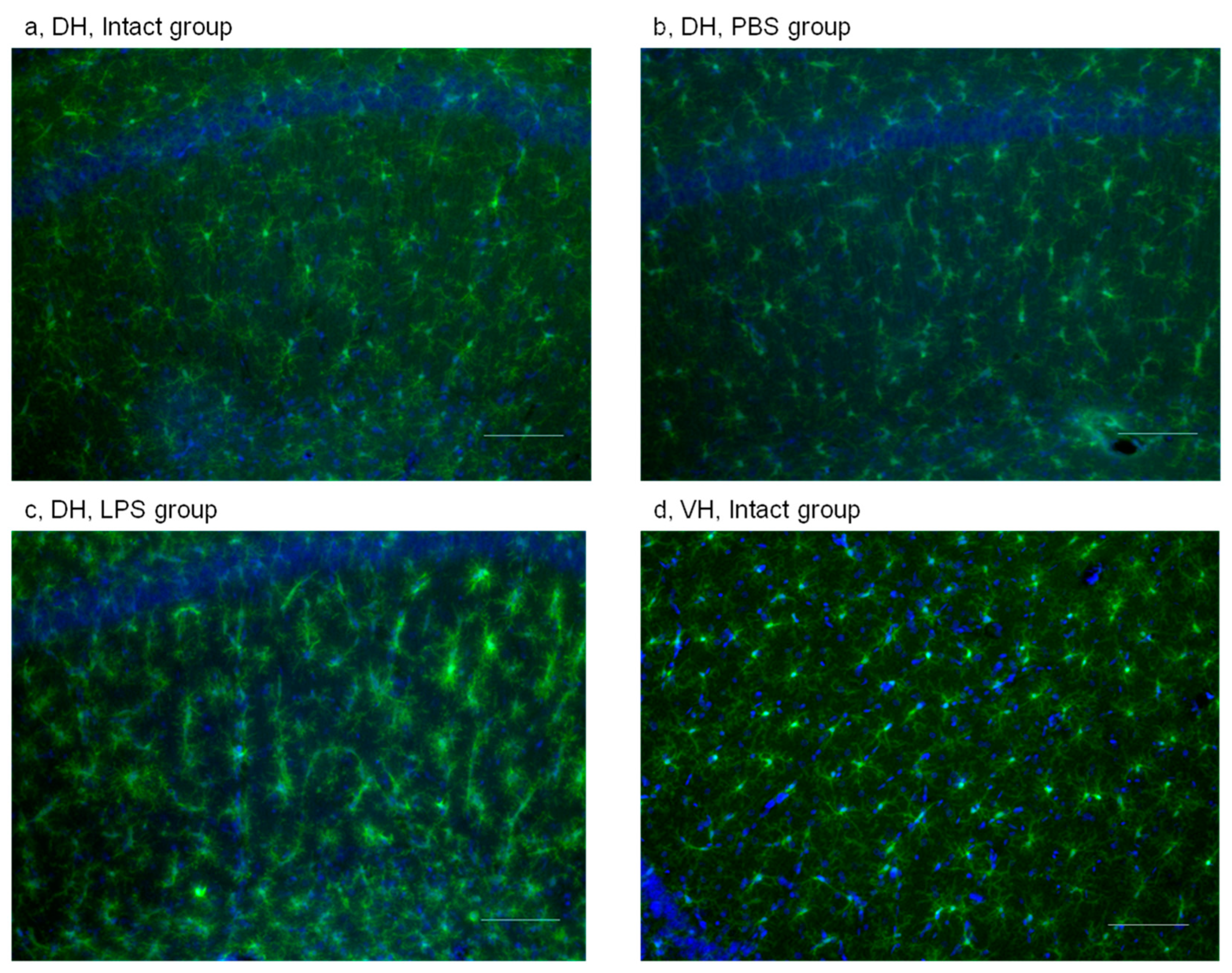 Ijms 24 11147 g002 Ijms 24 11147 g002