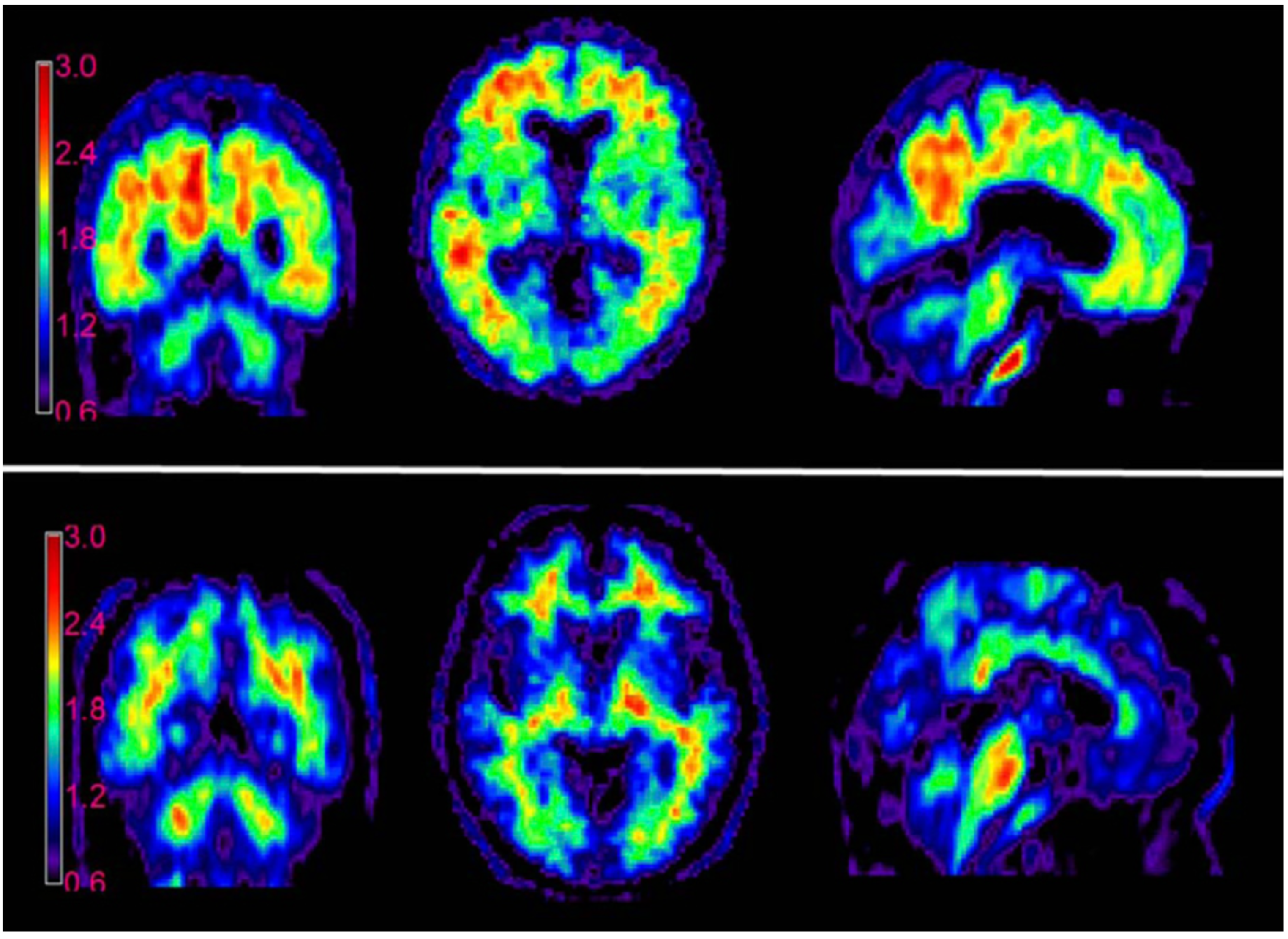 Ijms 24 11152 g006 Ijms 24 11152 g006