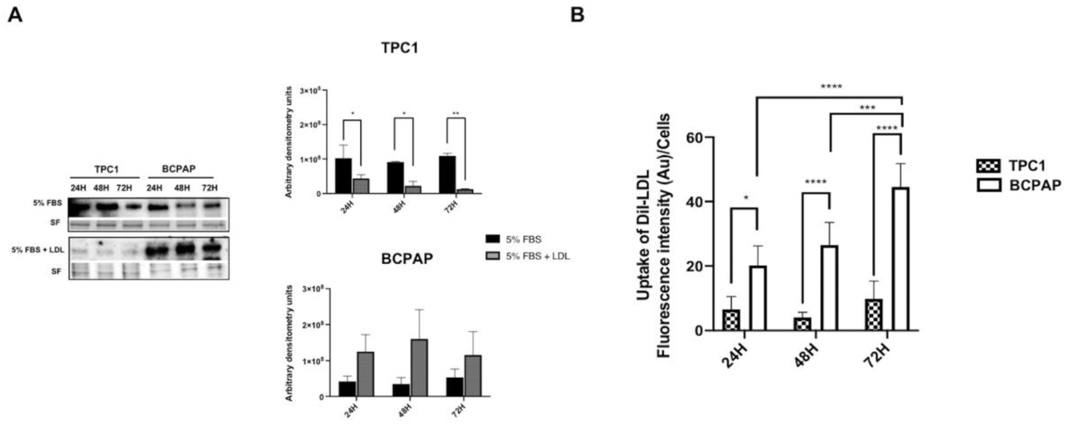 Ijms 24 11153 g001 Ijms 24 11153 g001