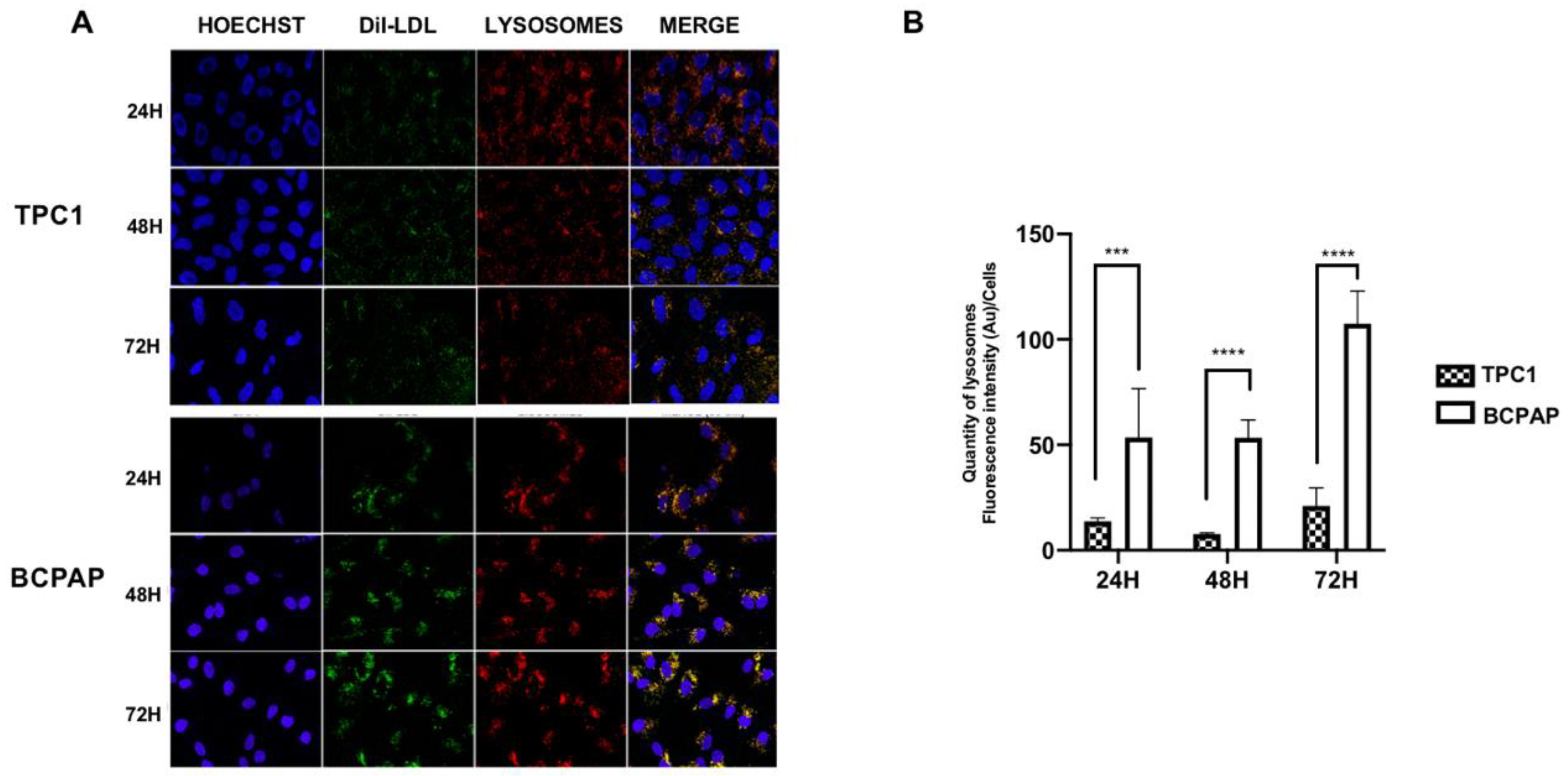 Ijms 24 11153 g002 Ijms 24 11153 g002