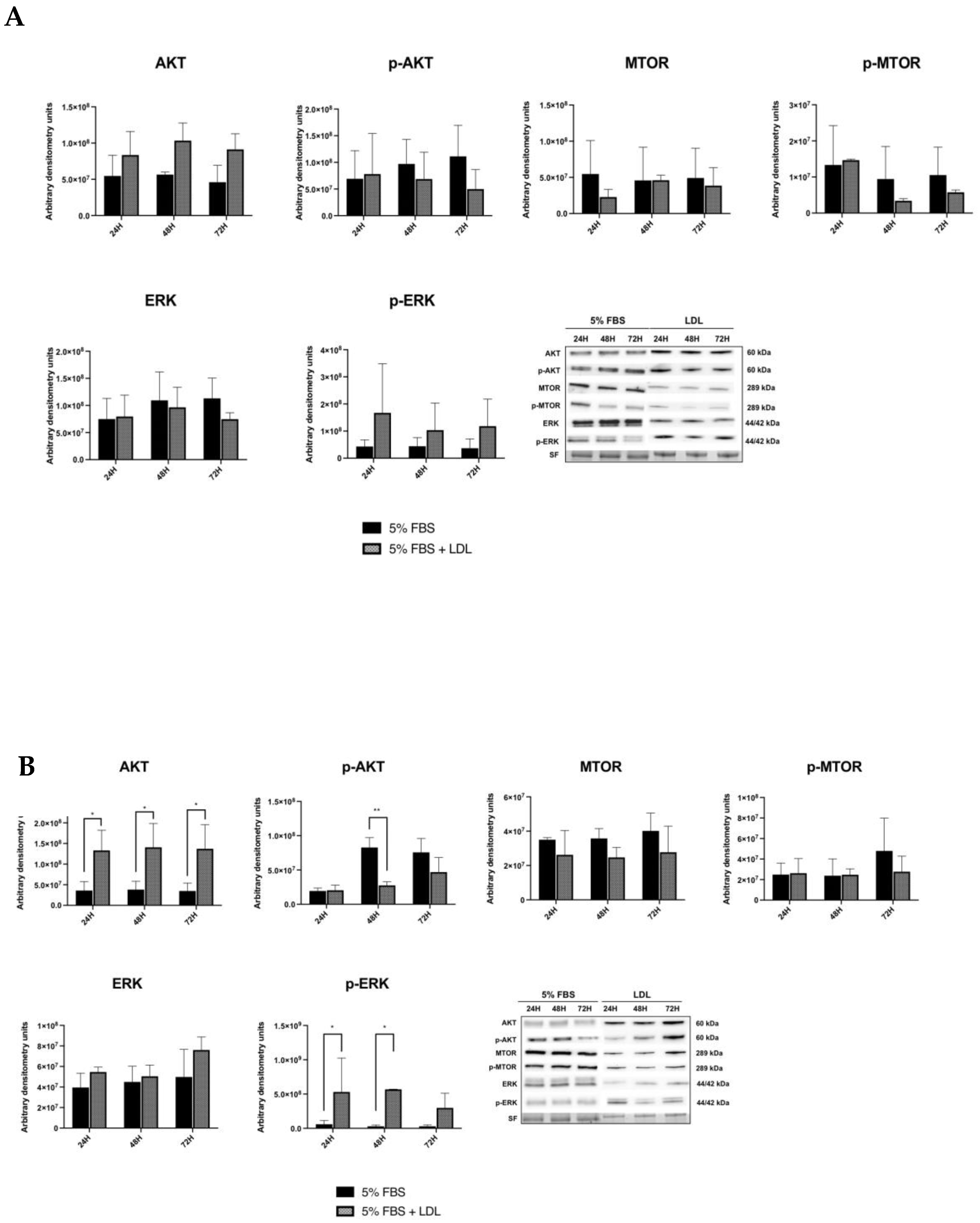 Ijms 24 11153 g005 Ijms 24 11153 g005