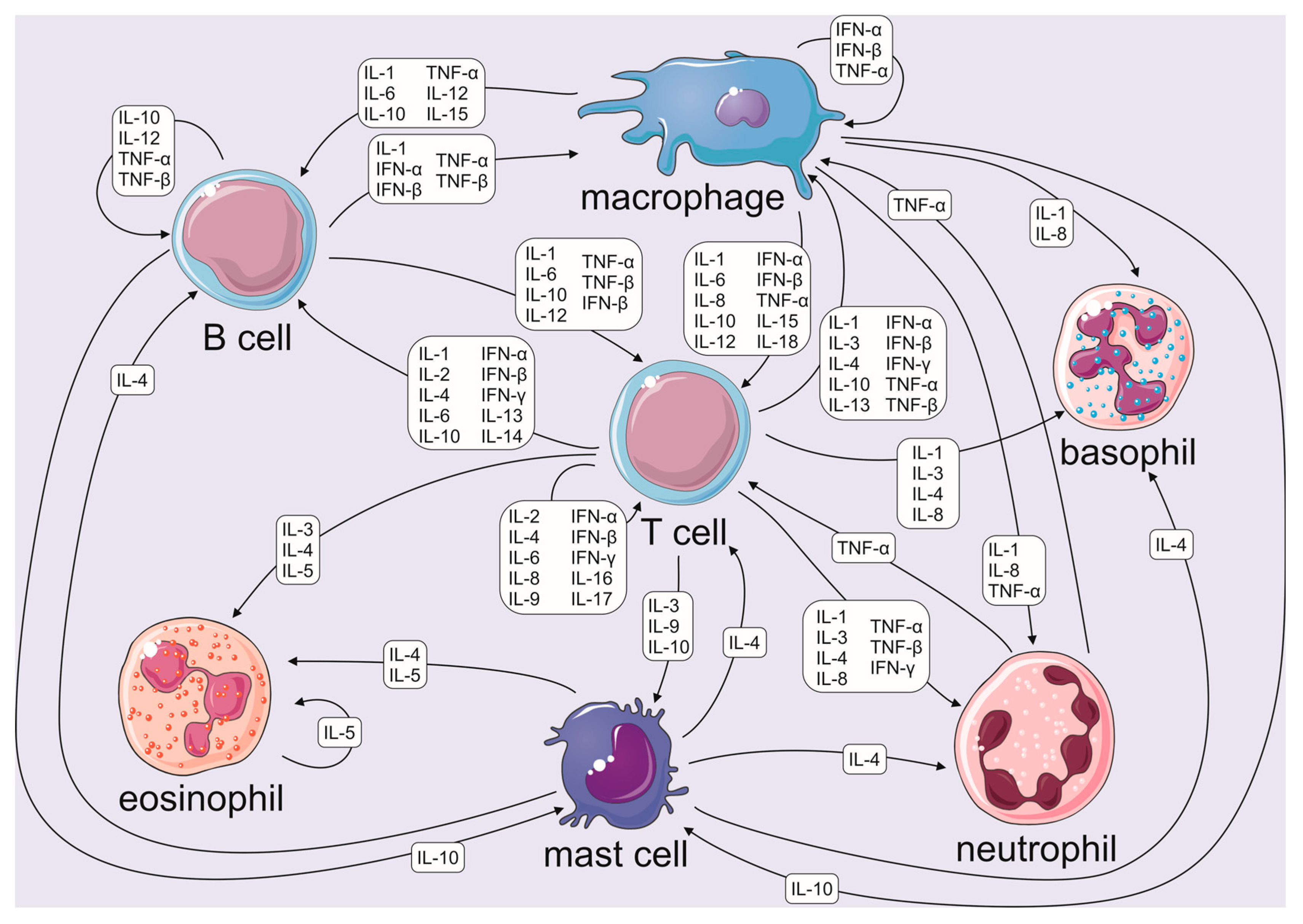 Ijms 24 11156 g002 Ijms 24 11156 g002
