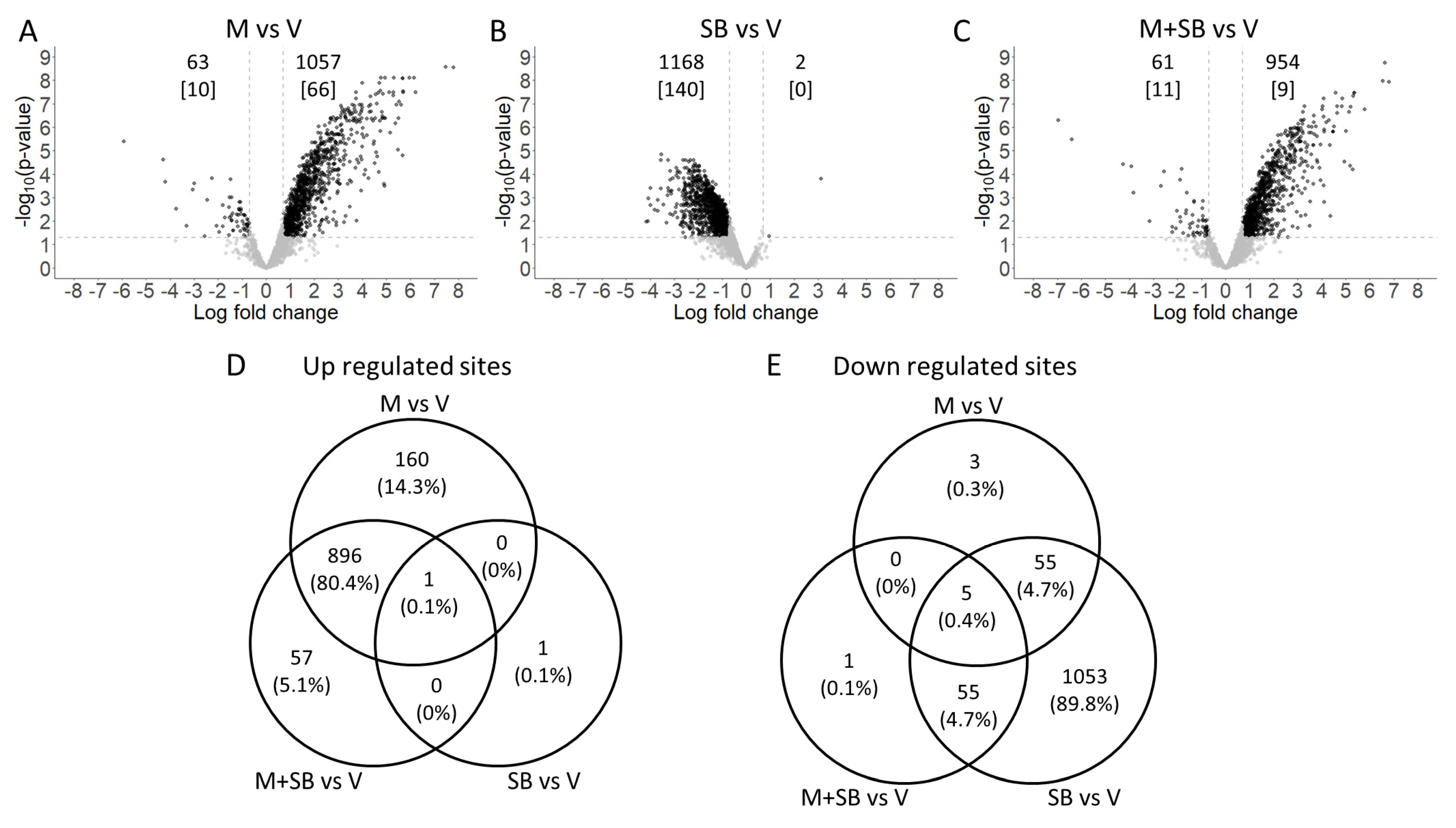 Ijms 24 11168 g002 Ijms 24 11168 g002