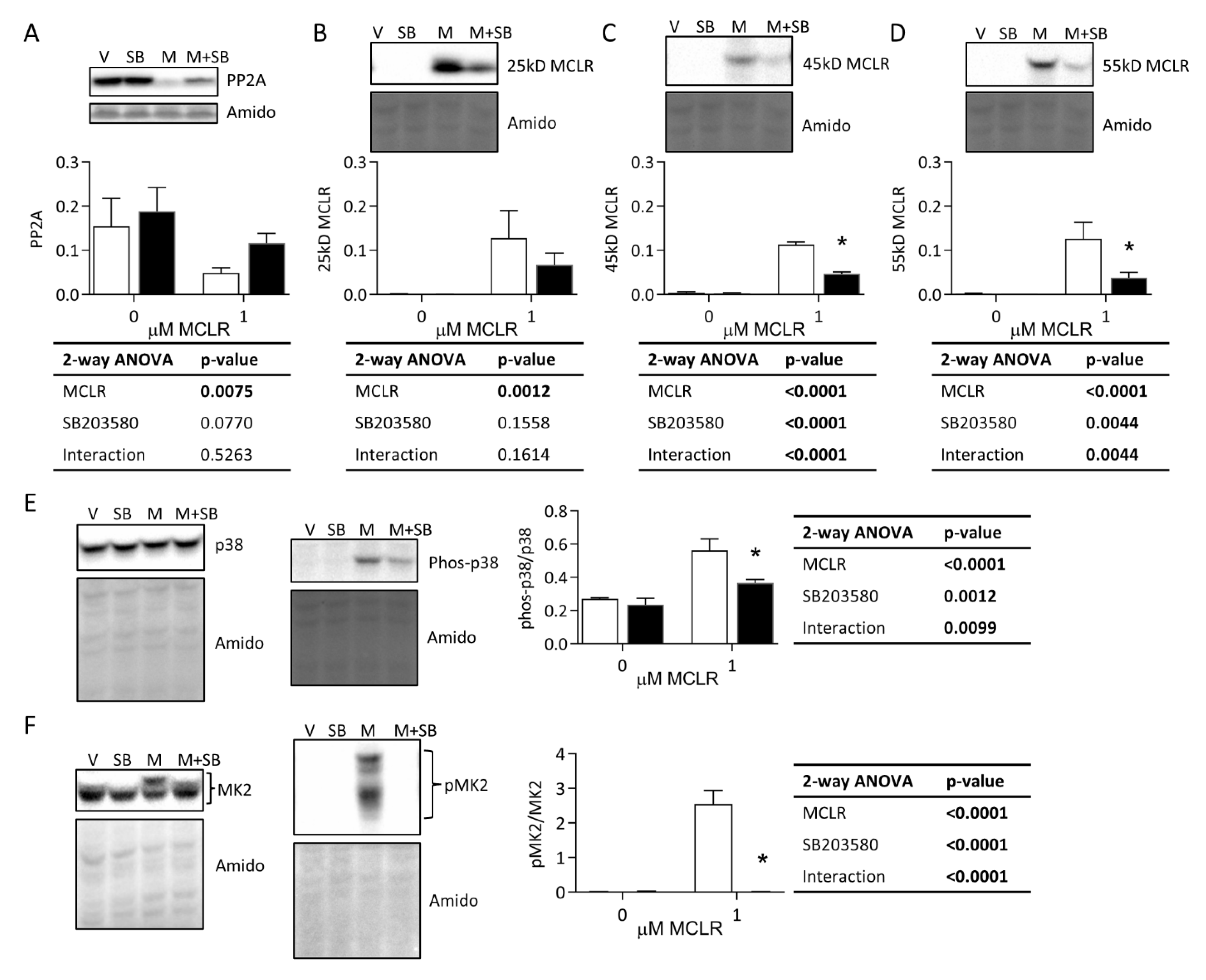 Ijms 24 11168 g004 Ijms 24 11168 g004