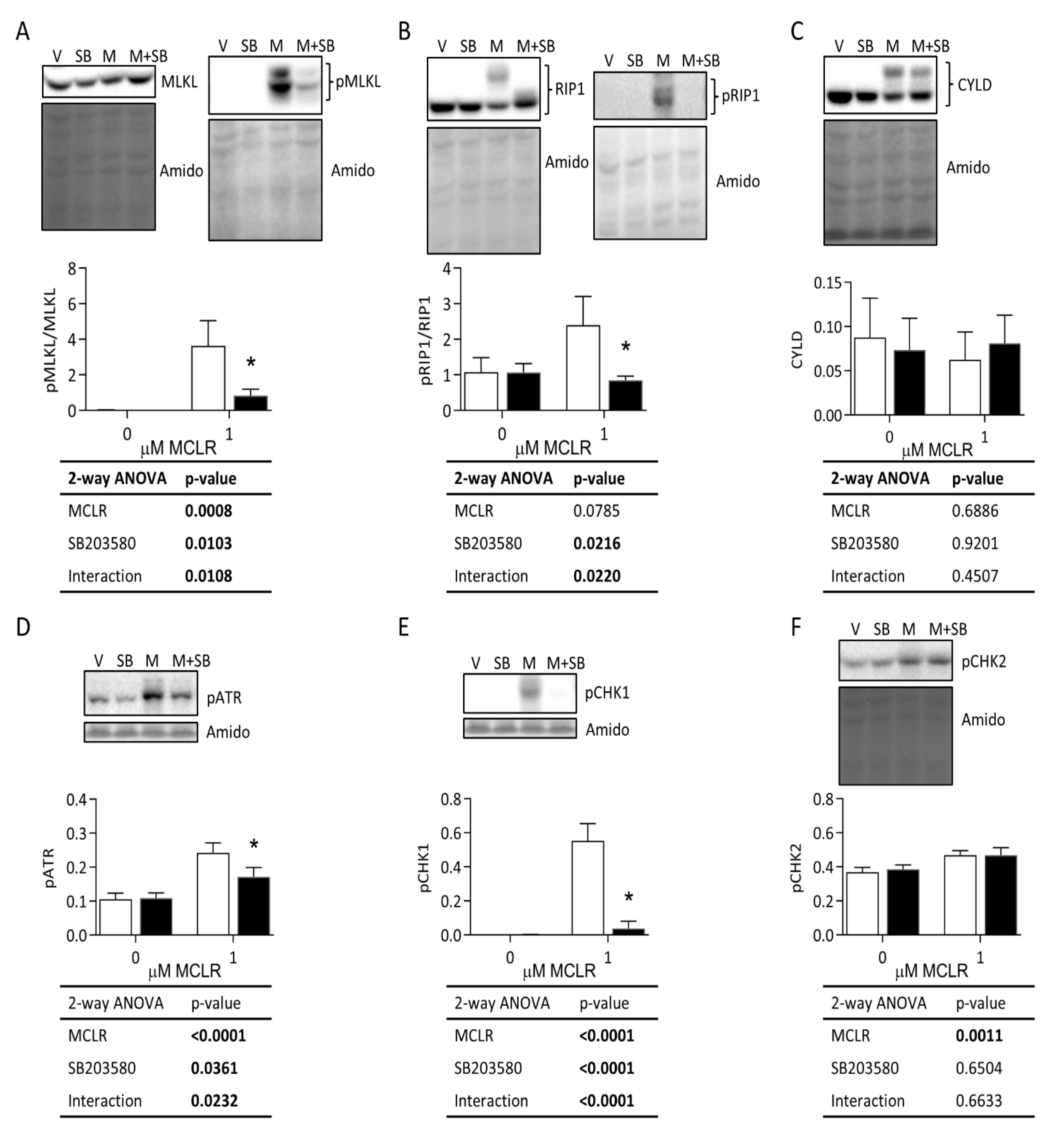 Ijms 24 11168 g005 Ijms 24 11168 g005