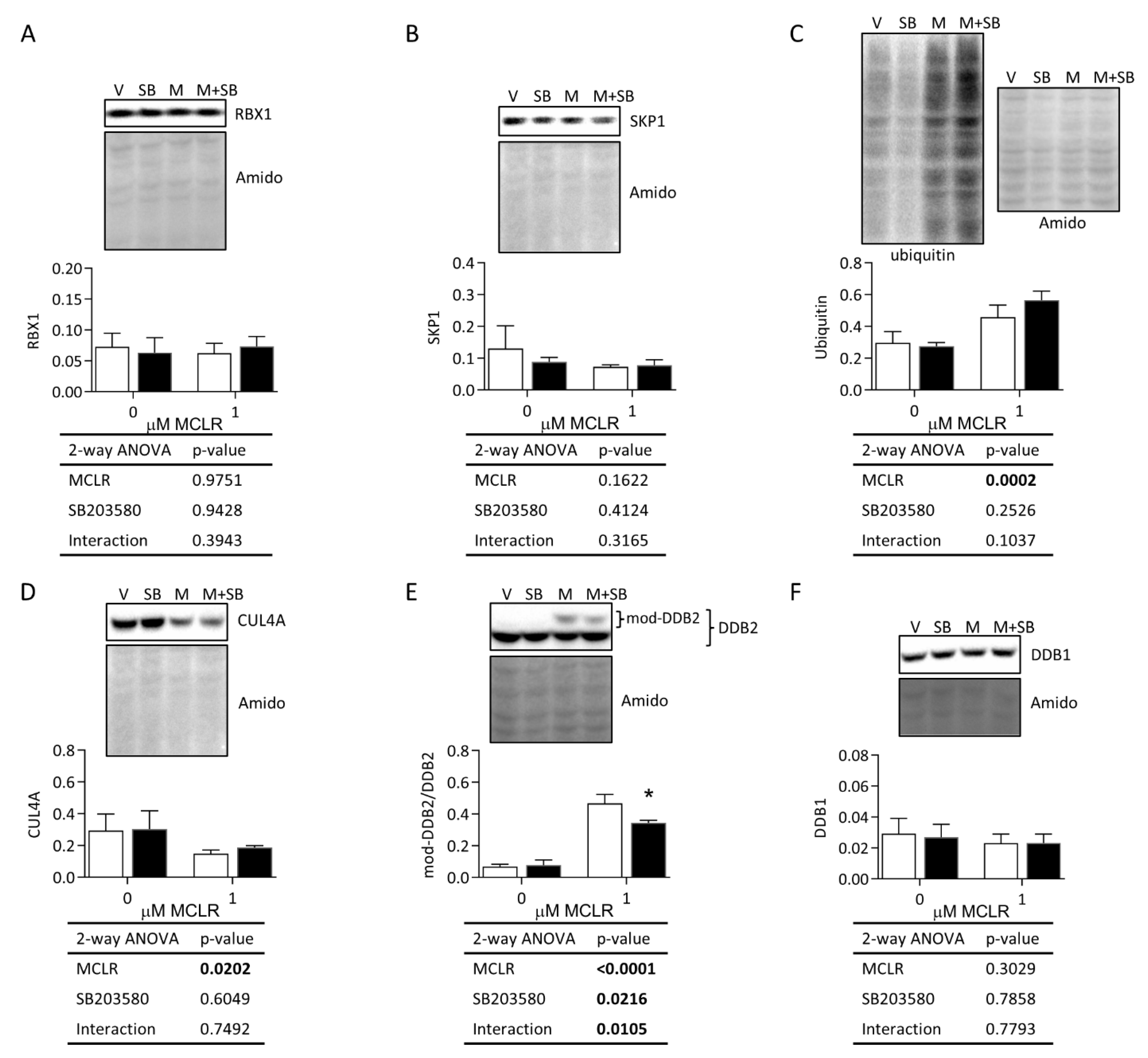 Ijms 24 11168 g006 Ijms 24 11168 g006