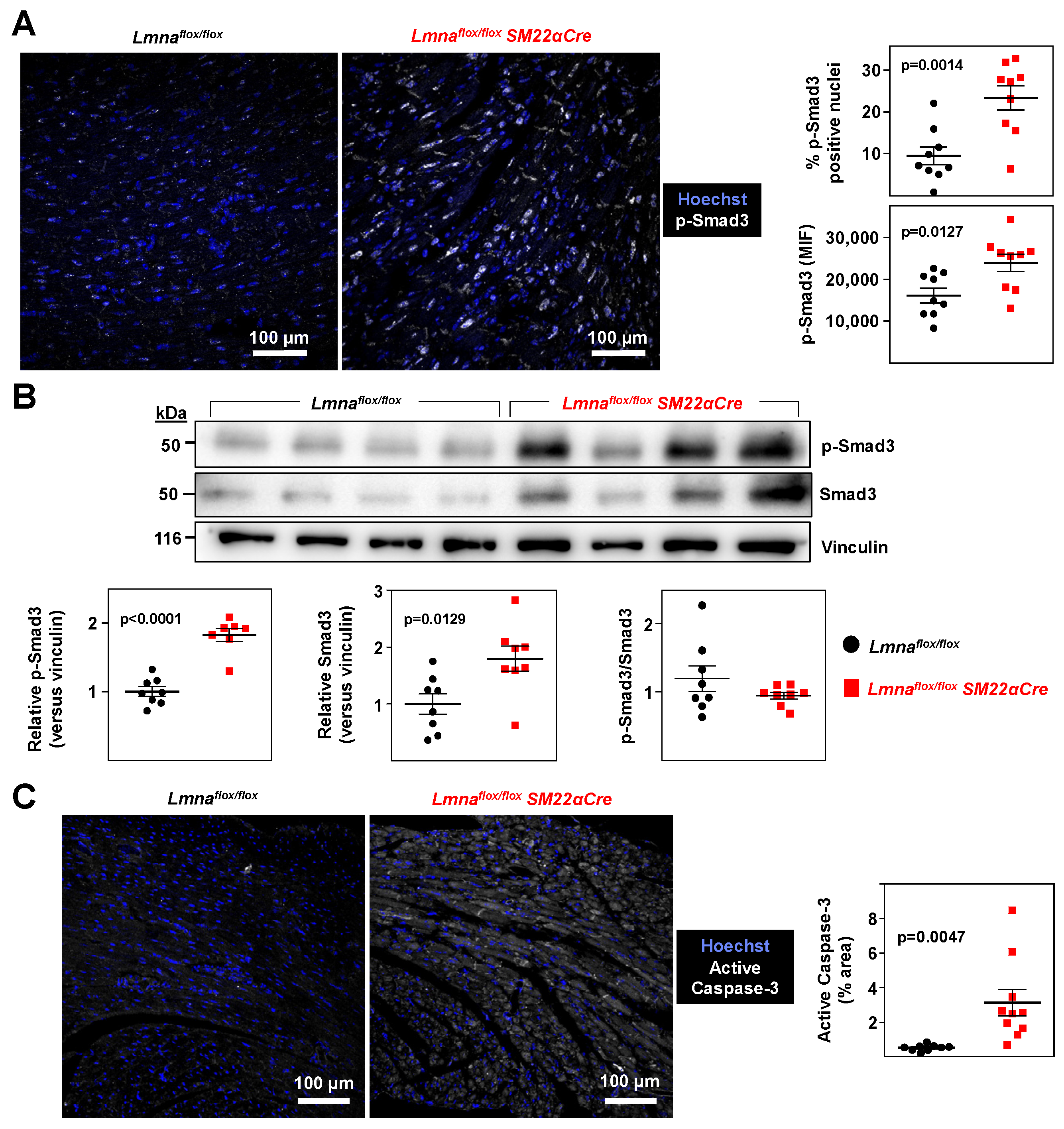 Ijms 24 11172 g006 Ijms 24 11172 g006