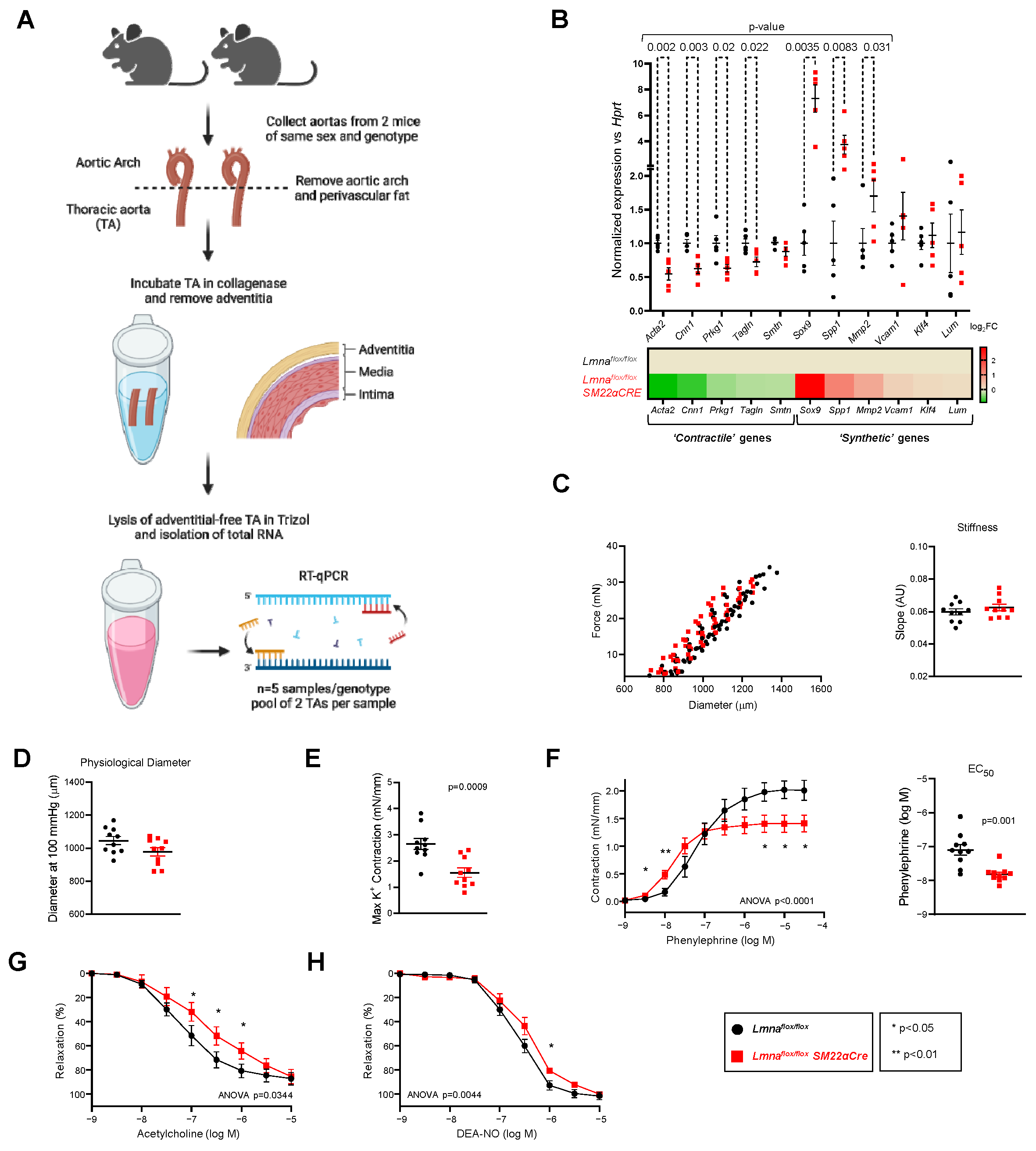 Ijms 24 11172 g008 Ijms 24 11172 g008
