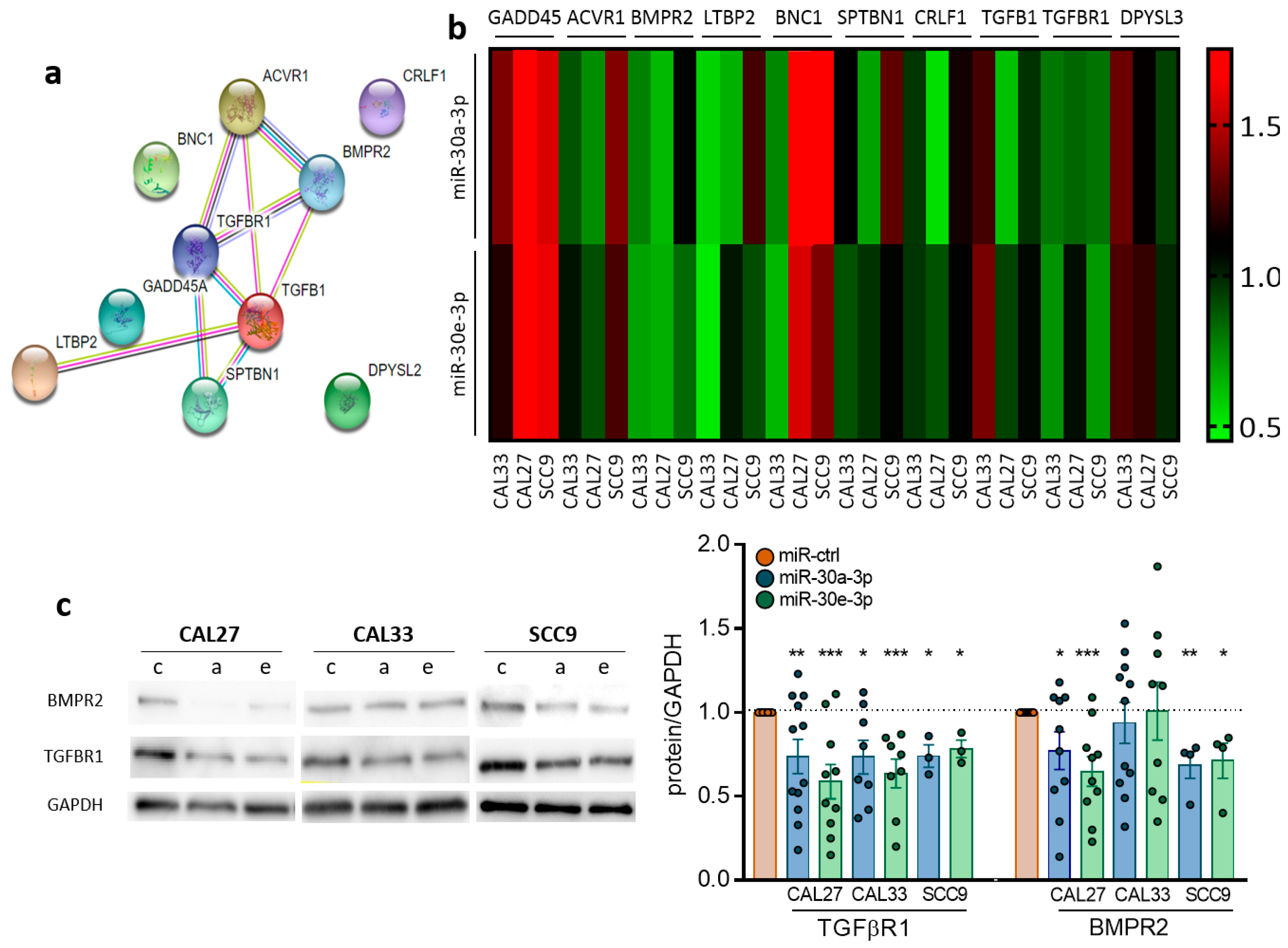 Ijms 24 11178 g003a Ijms 24 11178 g003a