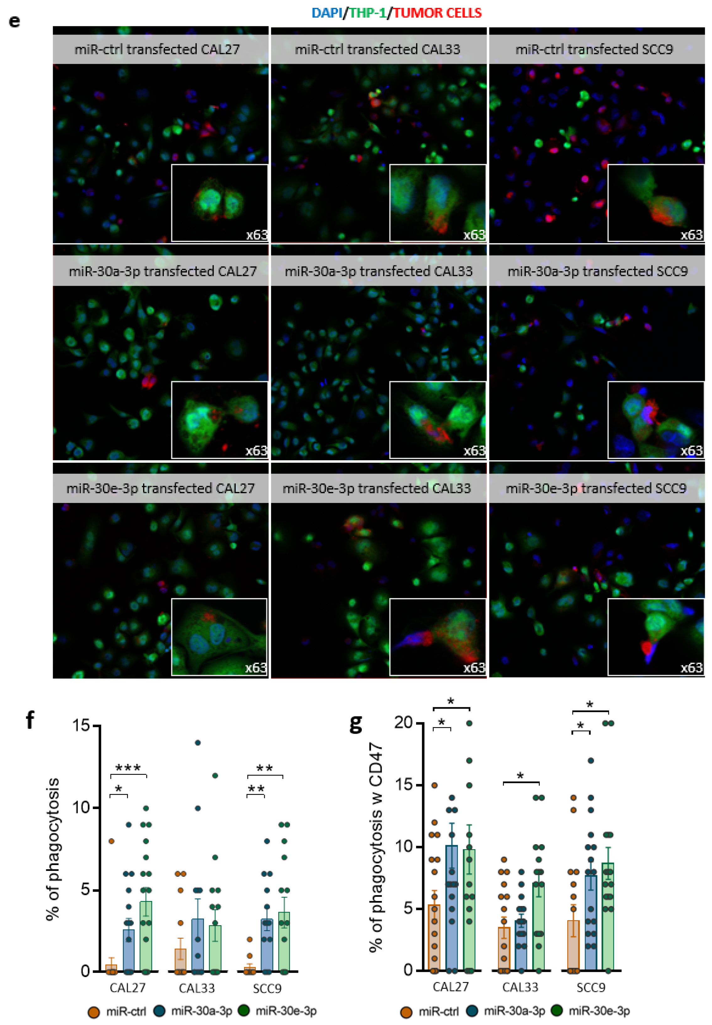 Ijms 24 11178 g005b Ijms 24 11178 g005b