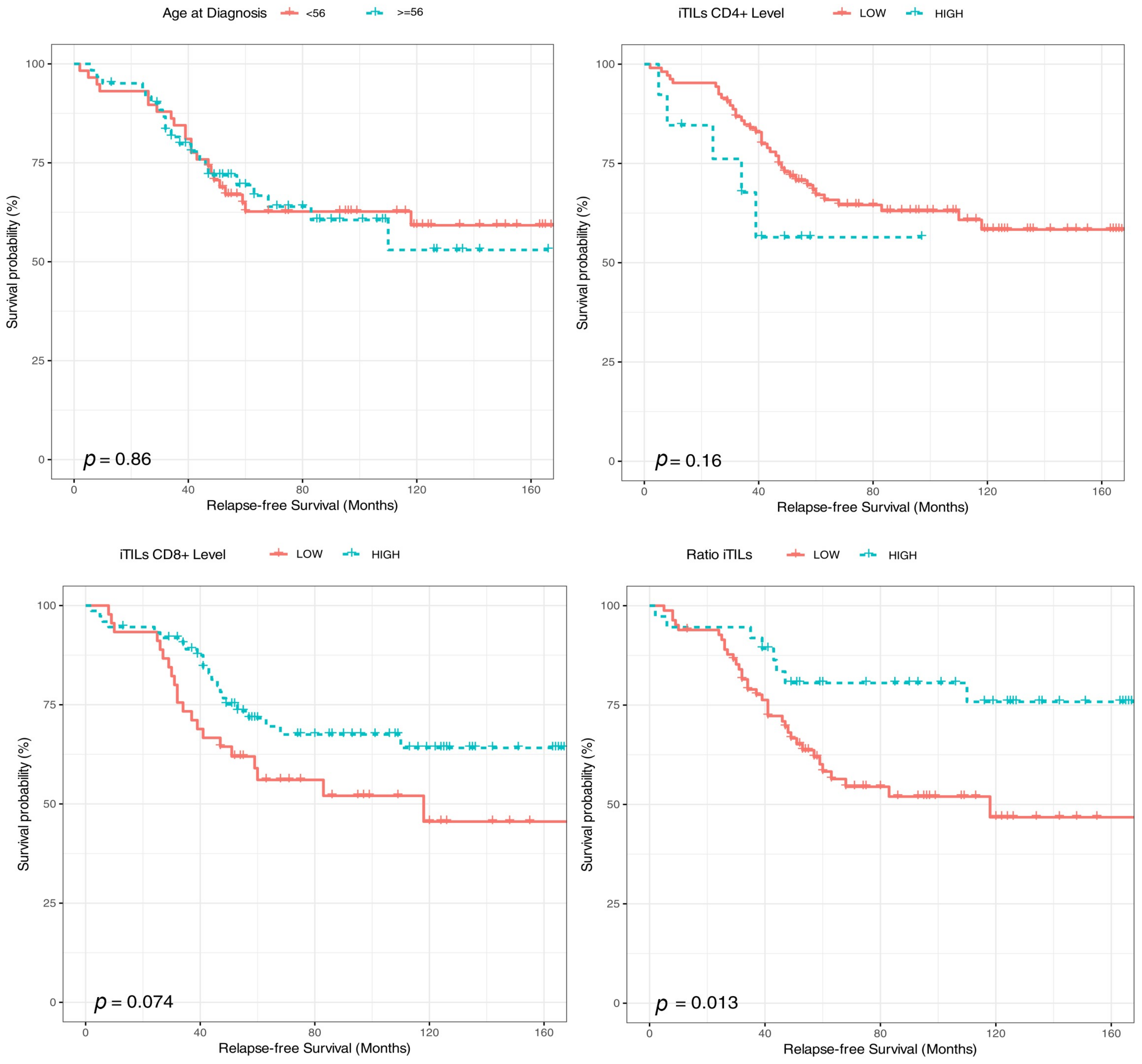 Ijms 24 11183 g004 Ijms 24 11183 g004