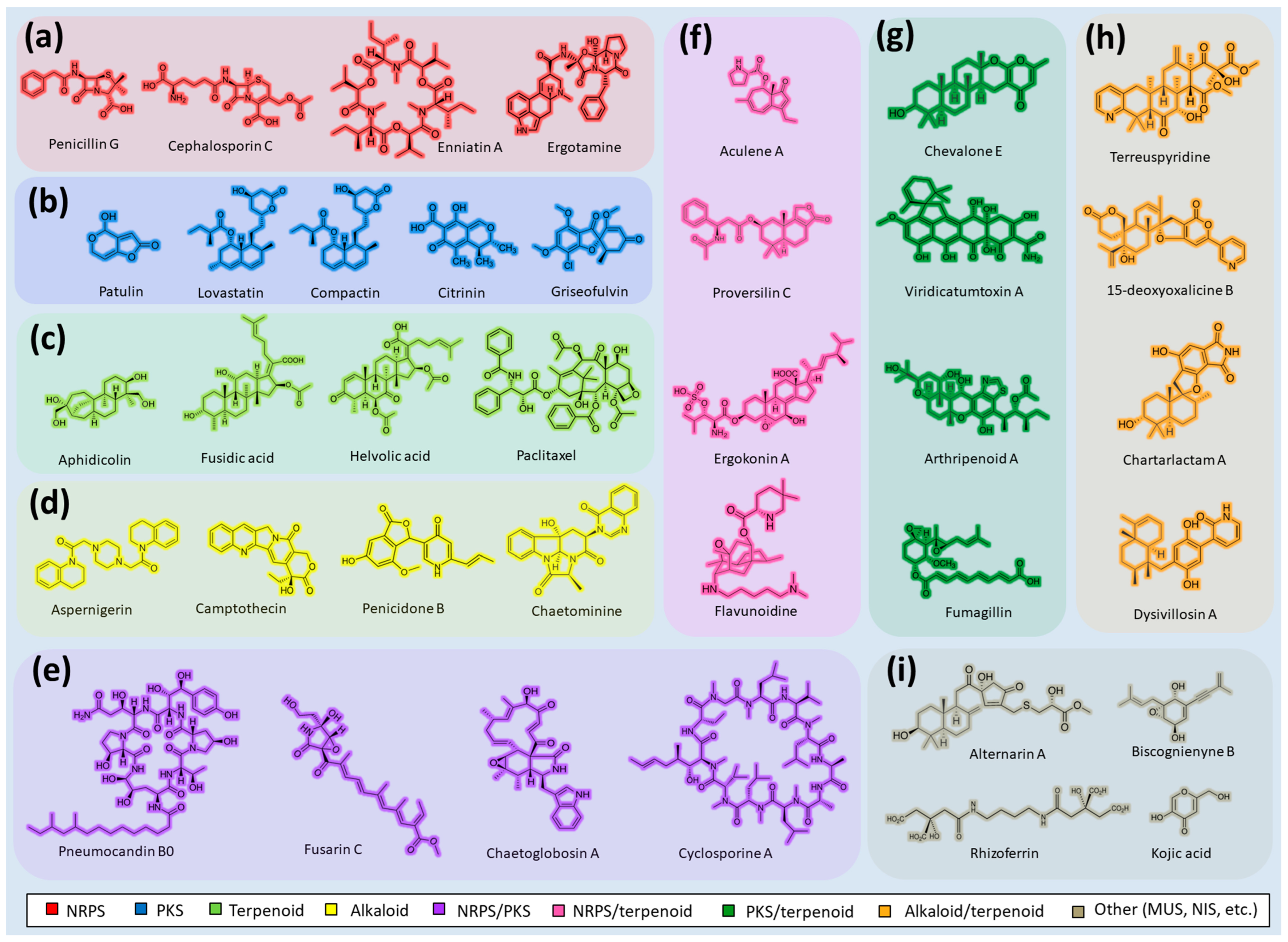 Ijms 24 11184 g001 Ijms 24 11184 g001