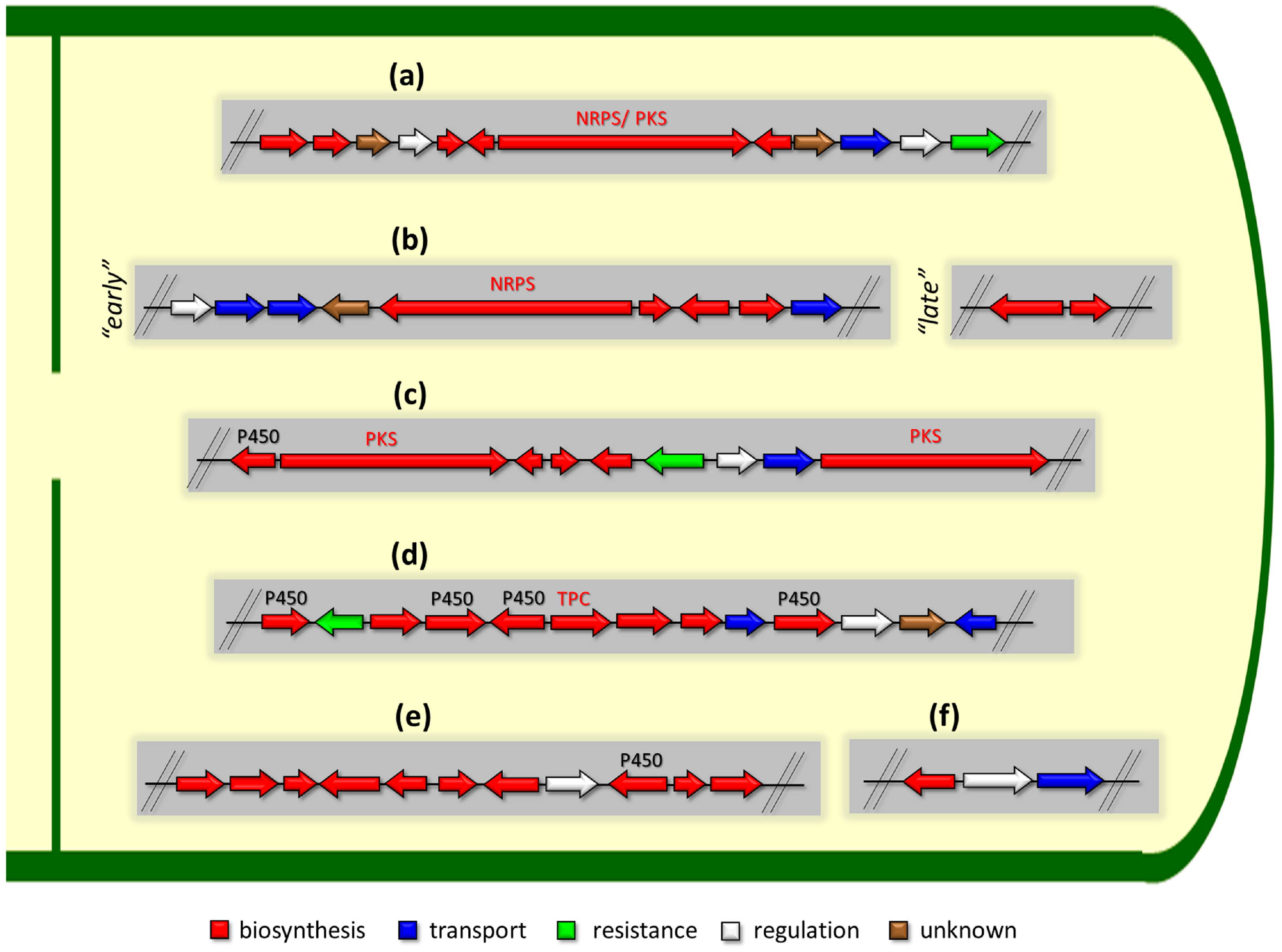 Ijms 24 11184 g003 Ijms 24 11184 g003