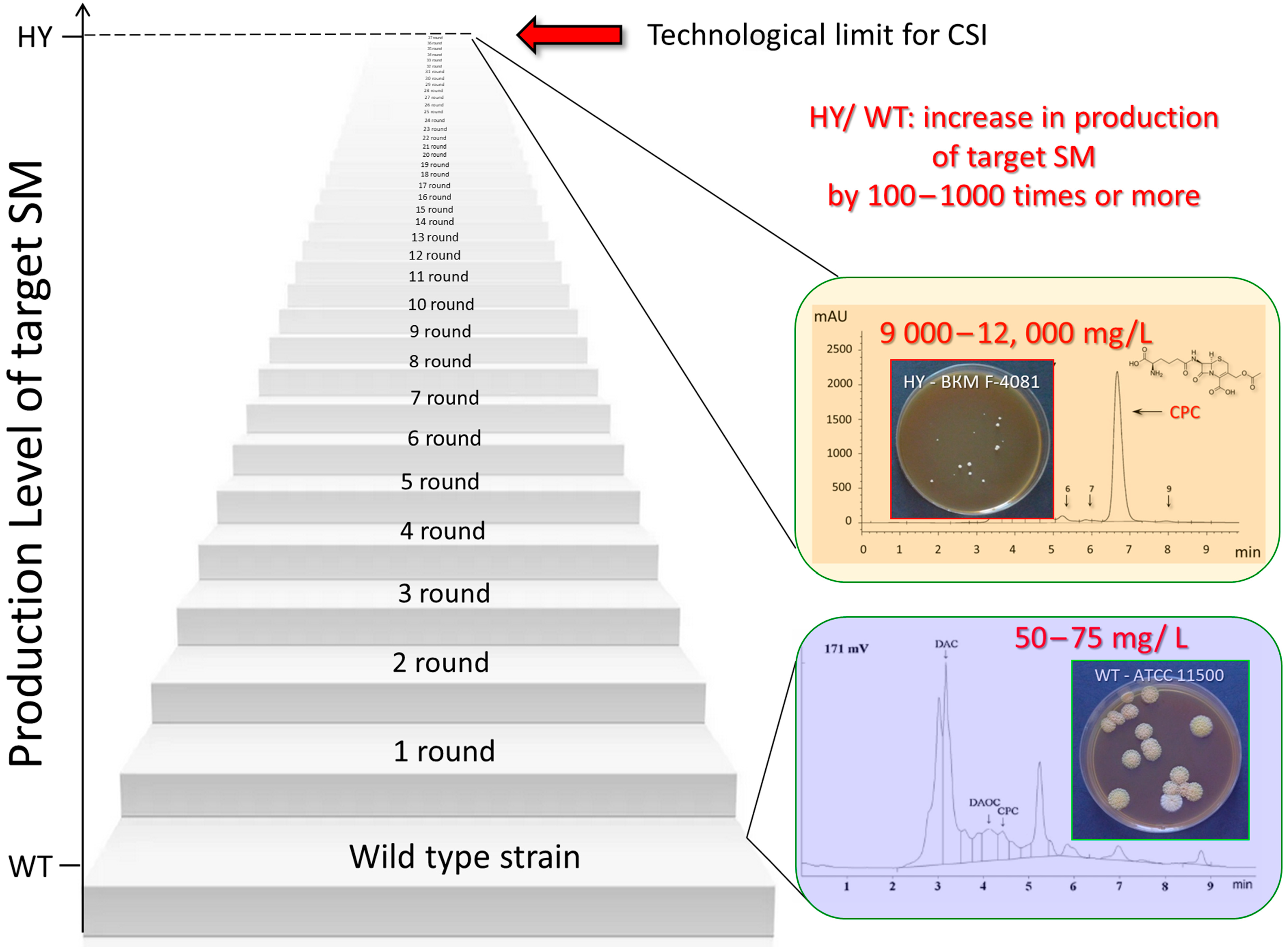 Ijms 24 11184 g004 Ijms 24 11184 g004