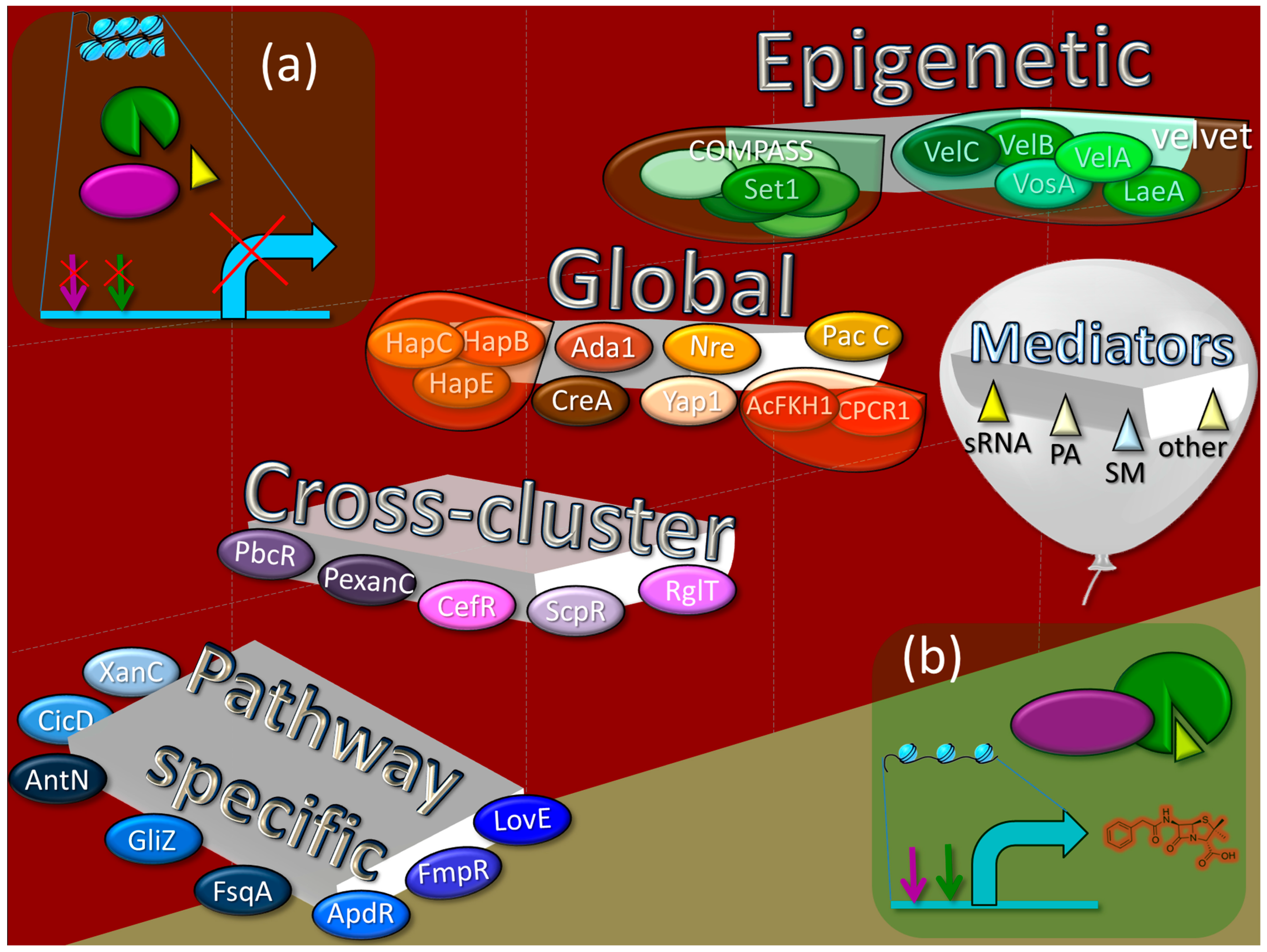 Ijms 24 11184 g005 Ijms 24 11184 g005