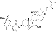 Ijms 24 11184 i027 Ijms 24 11184 i027