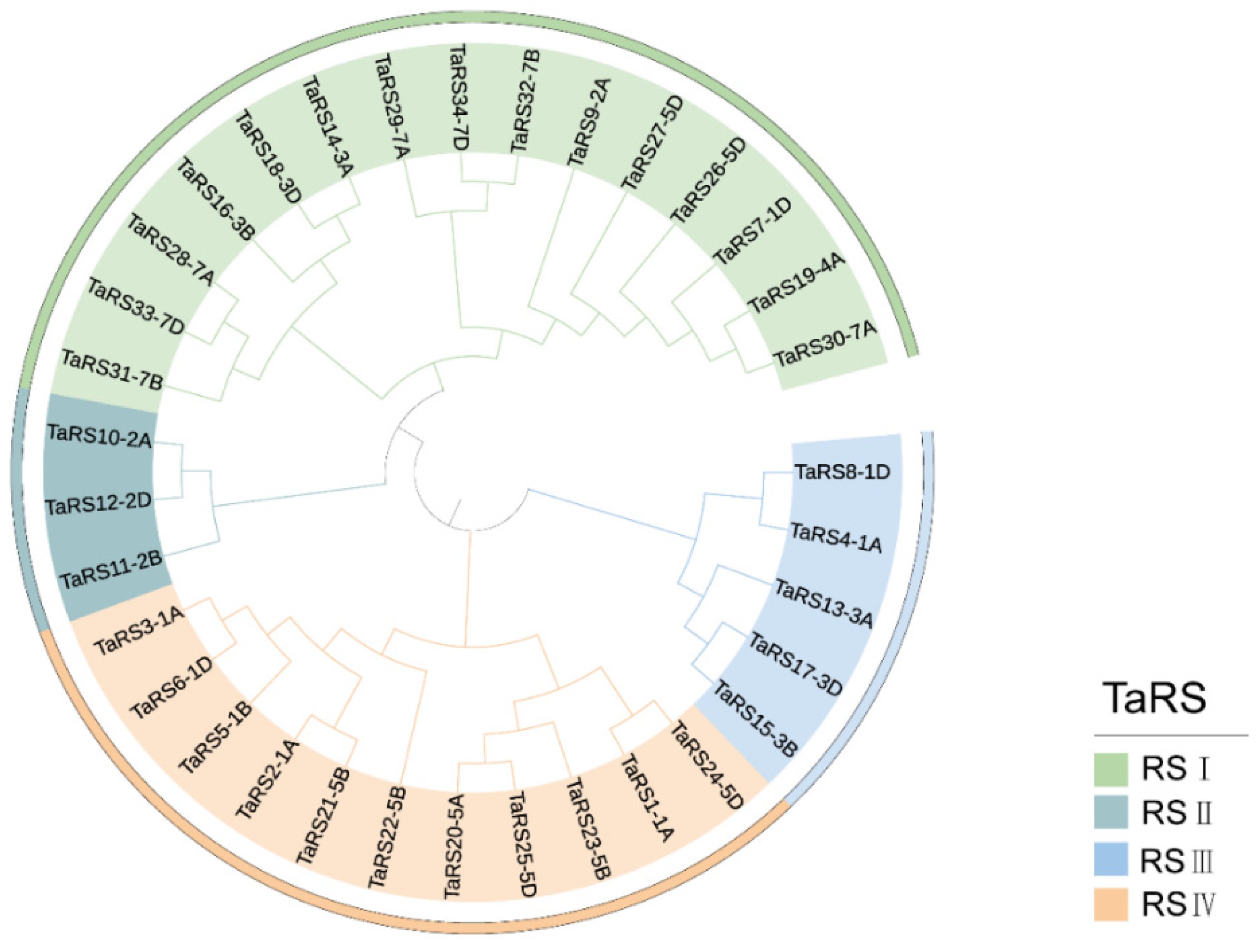 Ijms 24 11185 g001 Ijms 24 11185 g001